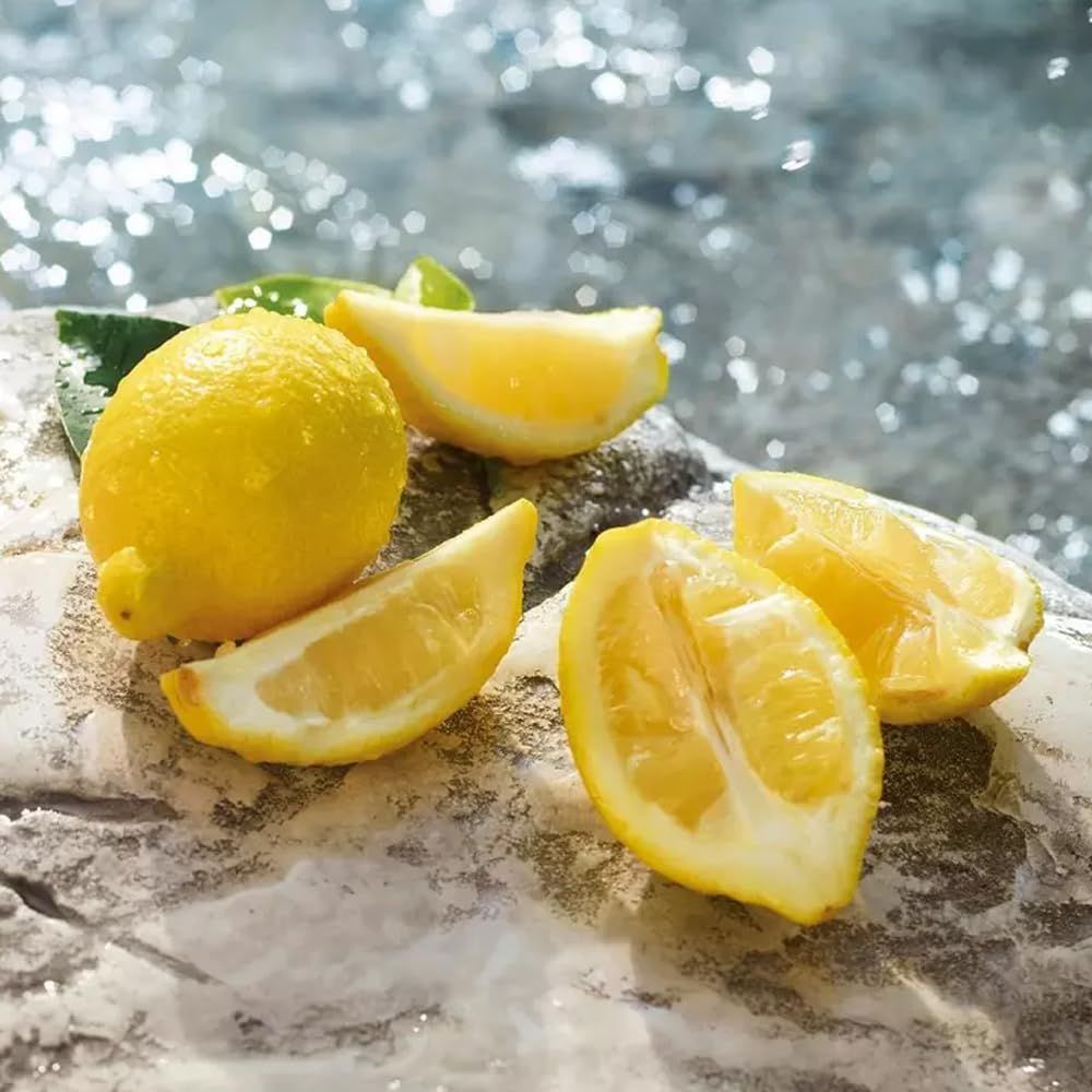 Zitronen auf einem Stein. Eine ganze Zitrone und Zitronenscheiben. Hintergrund: Wasser.