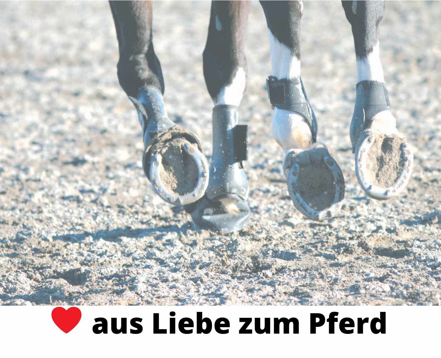 HorseGuard  Hufglocken Gepard
