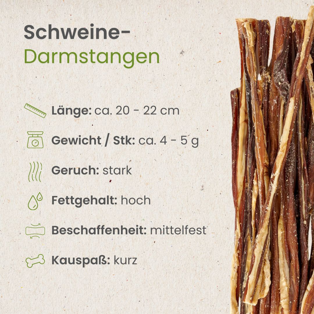 Hund kaut auf einem Schweinedarmstangen-Snack in einer Waldumgebung.