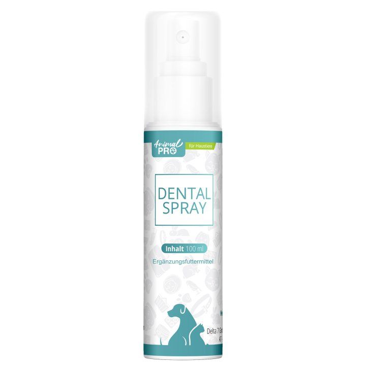 Vorderseite einer Sprühflasche mit der Aufschrift 'DENTAL SPRAY' und 100 ml Inhalt.