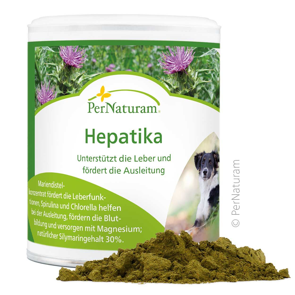 Weißes Dose mit grünem Etikett, Mariendistel-Illustration. Text: PerNaturam Hepatika. Grünes Pulver vor der Dose.