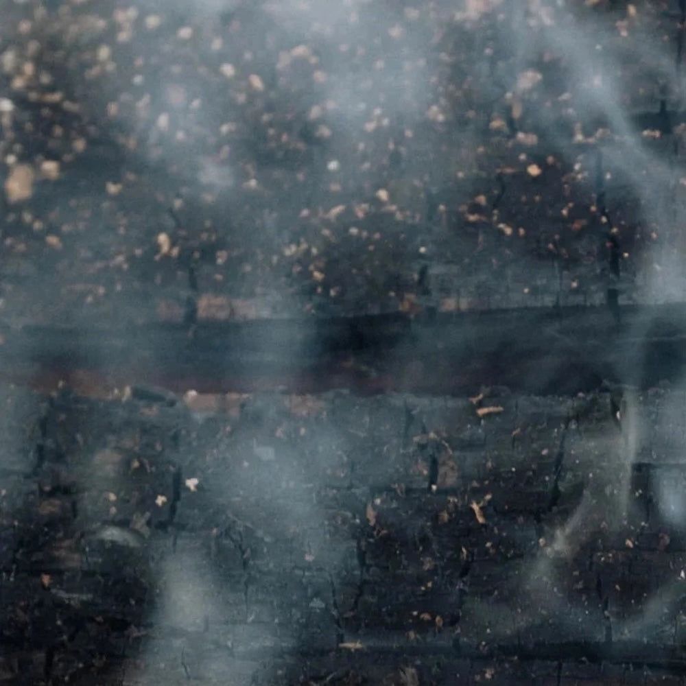 Zero Skin Glanz Conditioner Smoky, Green Vetiver, nährend und glättend