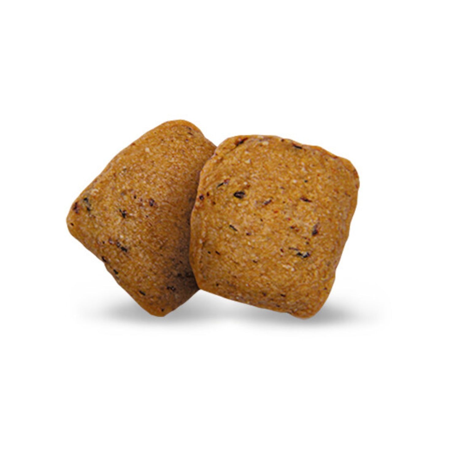 Green Petfood InsectDog Hypoallergen