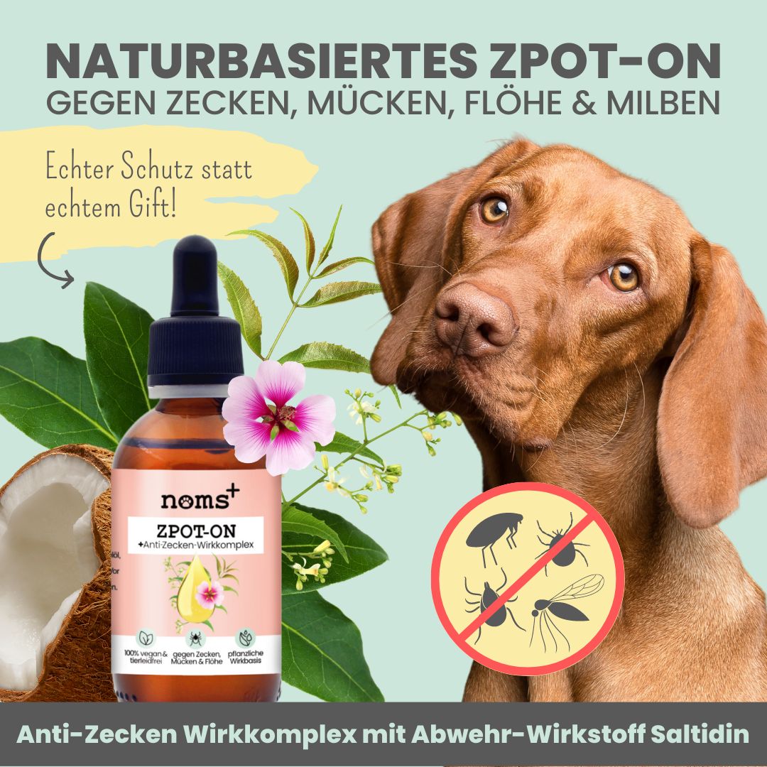 noms+ Zpot-on für Hunde gegen Zecken [Jahresvorrat], Flöhe, Milben & Mücken 50 ml Tropfen