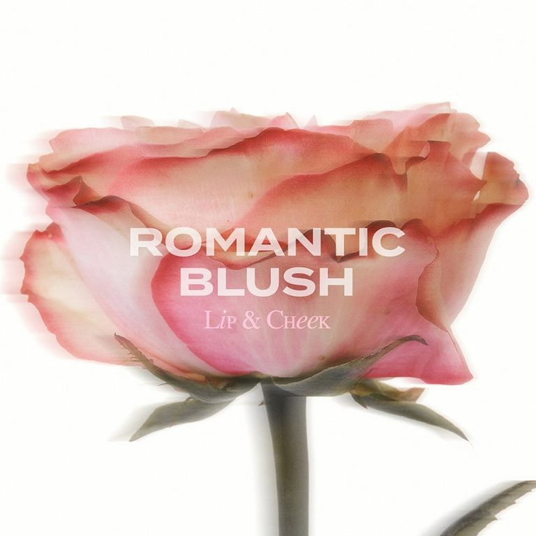 Eine zarte rosa Rose mit dem Text 'ROMANTIC BLUSH Lip & Cheek'.