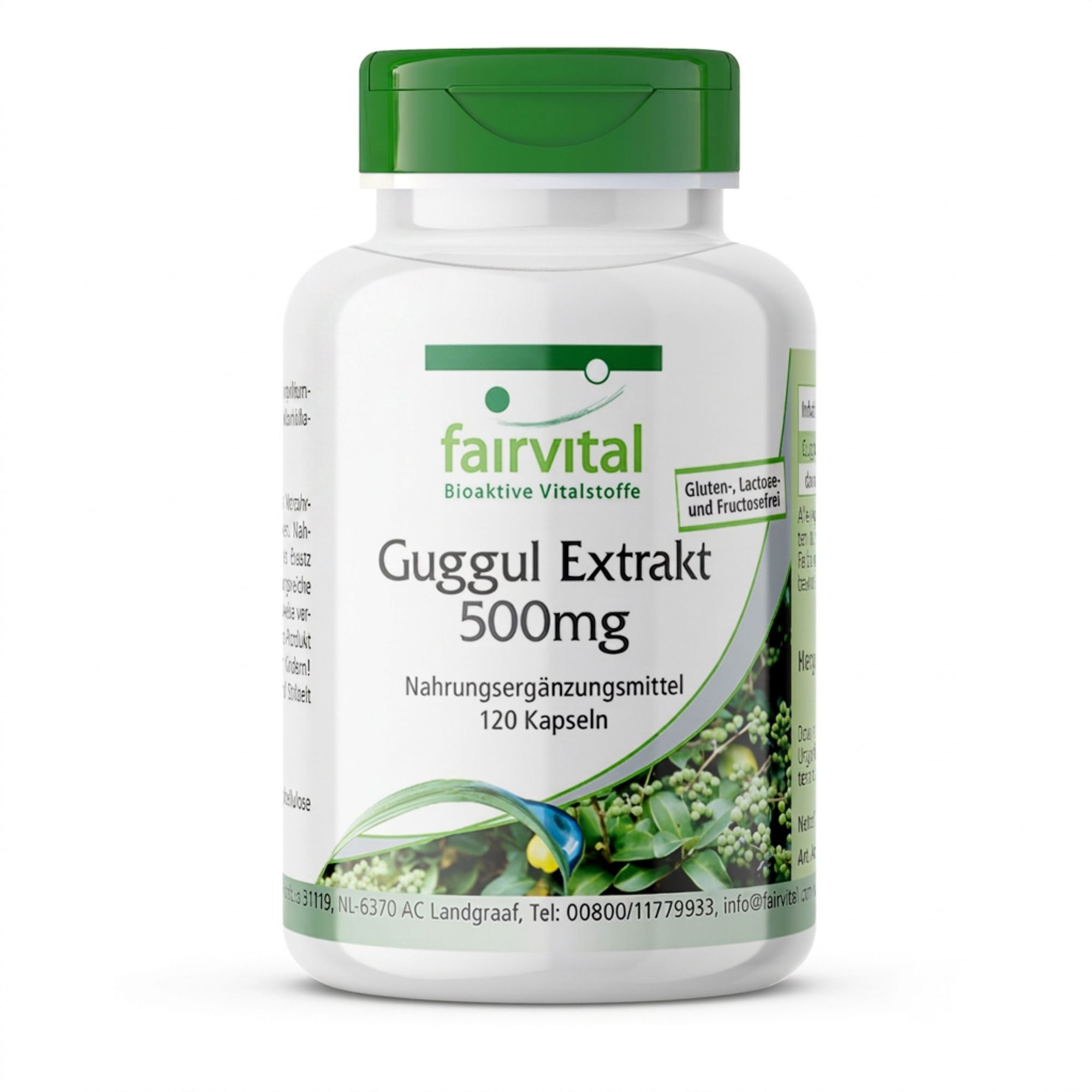 Fairvital | Guggul-extract 500mg - Veganistisch 120