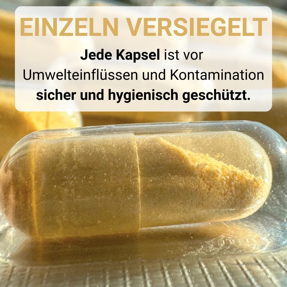 SwissOvit Vitamin B-Komplex