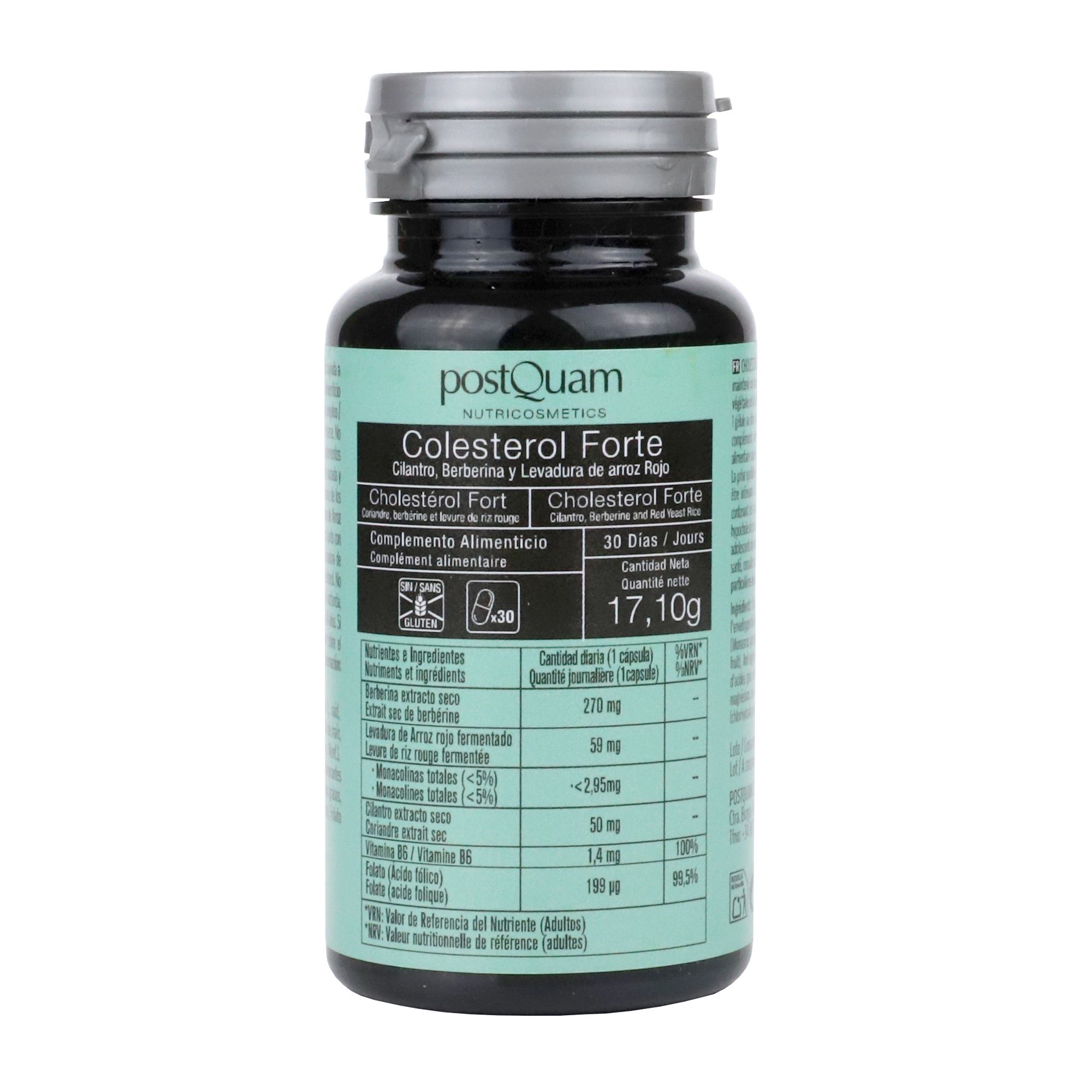 Postquam Piastra Professionale in Ceramica 4matic Pro Styler