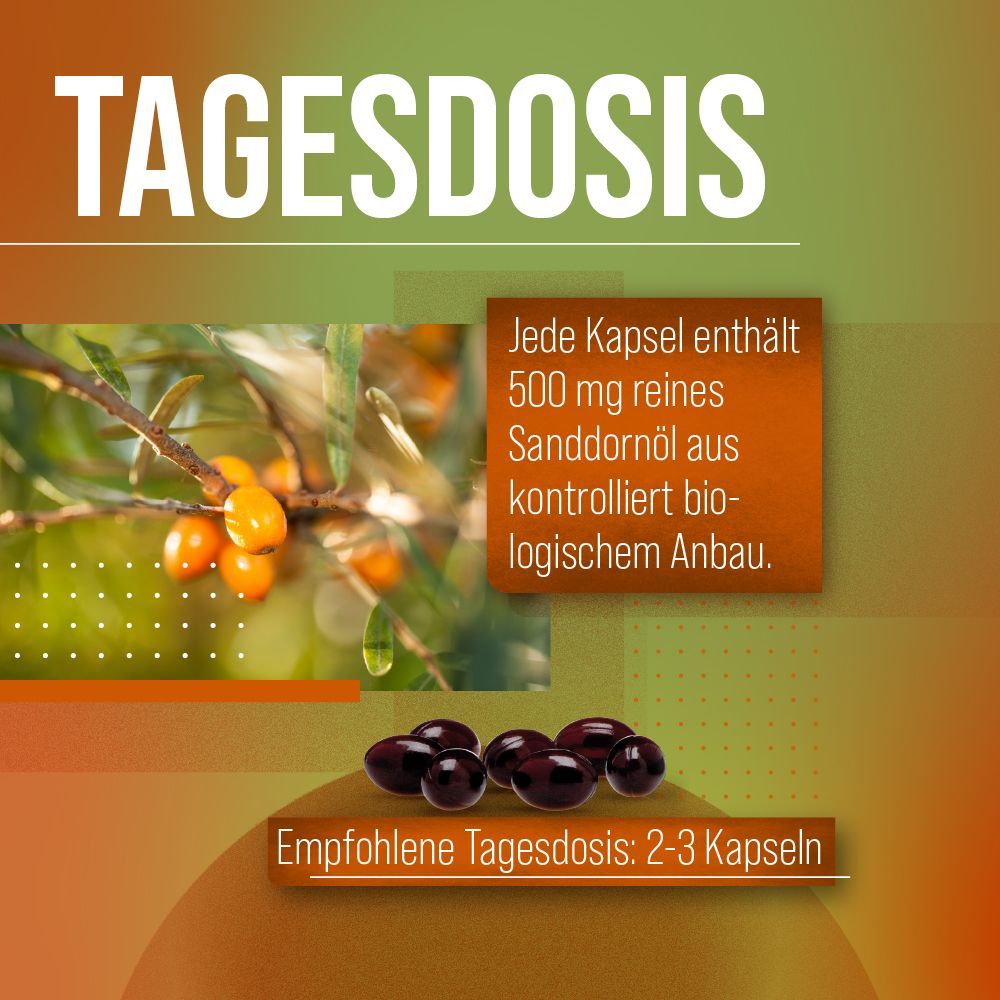 Grafik mit Text: Tagesdosis von Sanddornöl-Kapseln. Abbildung von Kapseln und Sanddornbeeren.