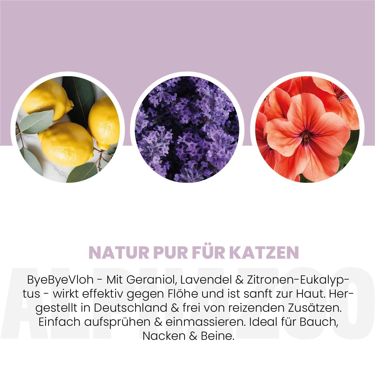 Zitronen, Lavendelblüten, rote Blume. Text: Natur pur für Katzen. ByeByeVloh mit Geraniol, Lavendel, etc.