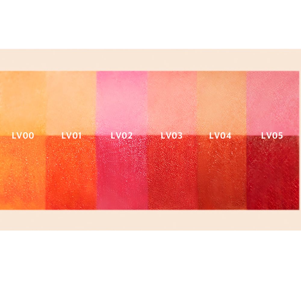 Farbpalette mit sechs Farbtönen. Von hell bis dunkel. LV00 bis LV05.