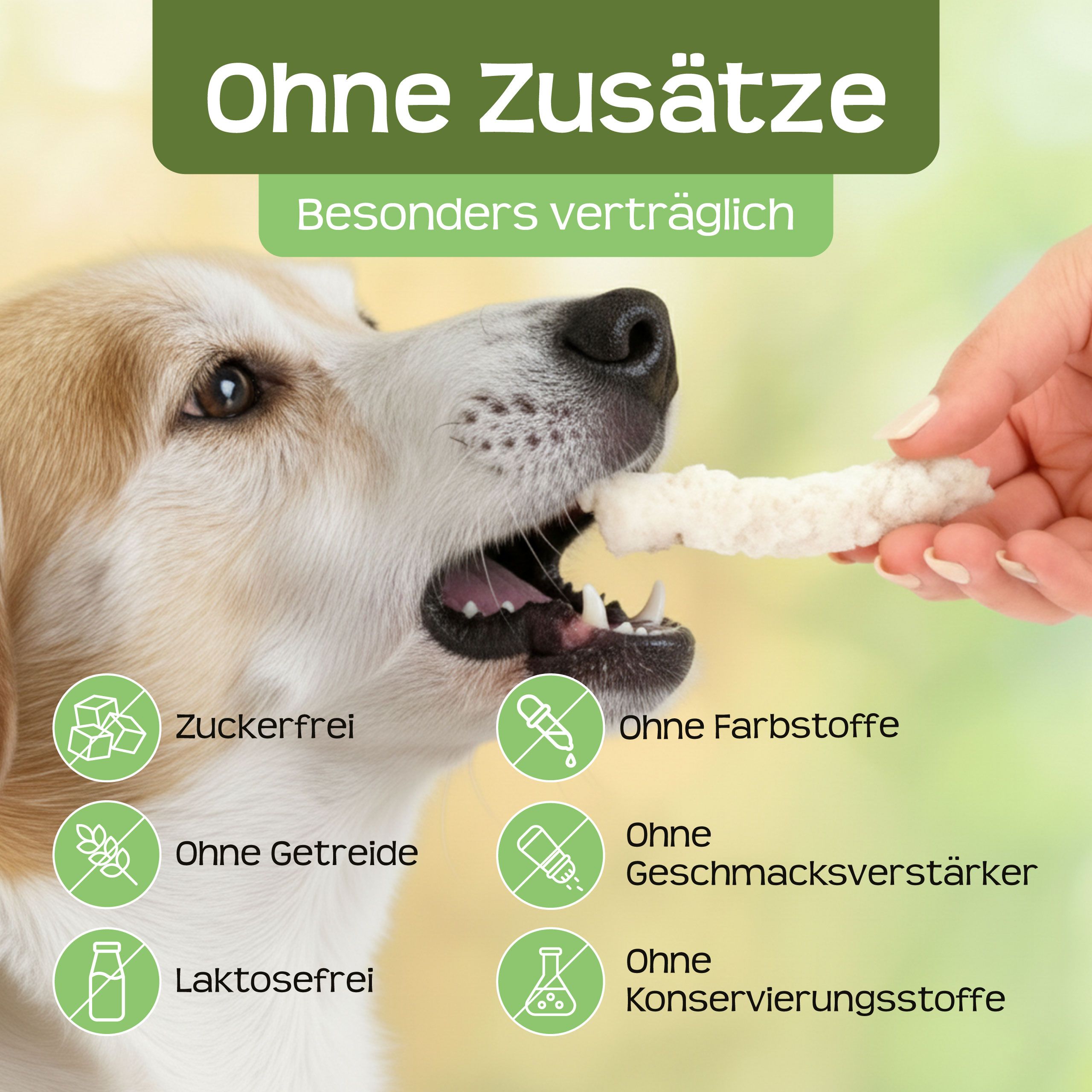 Hund bekommt Kokos-Stick. Text: Ohne Zusätze, zuckerfrei, ohne Getreide, laktosefrei.