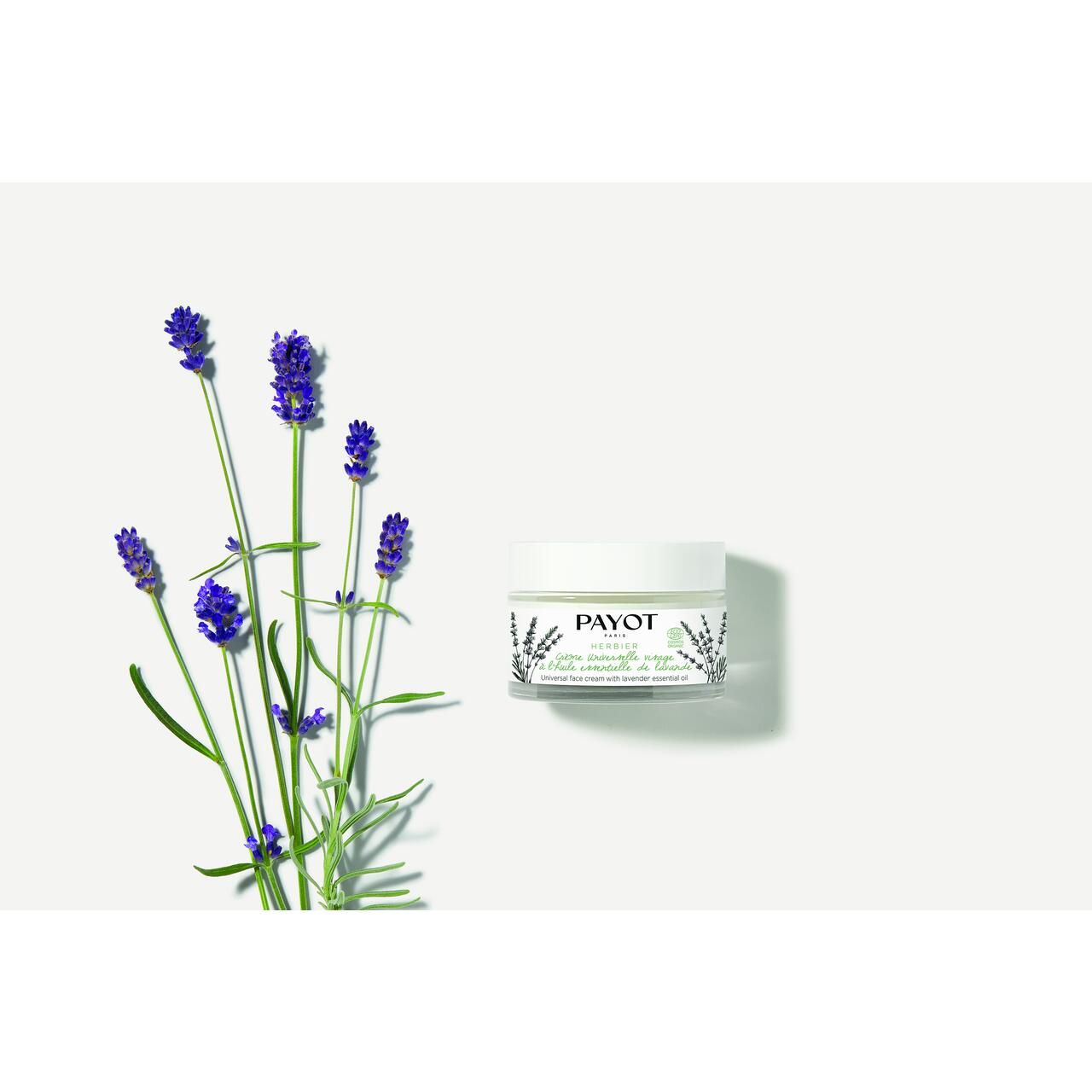 Creme-Glas neben Lavendelblüten. Aufschrift: PAYOT, Crème universelle visage à l'huile essentielle de lavande. Weißer Hintergrund.