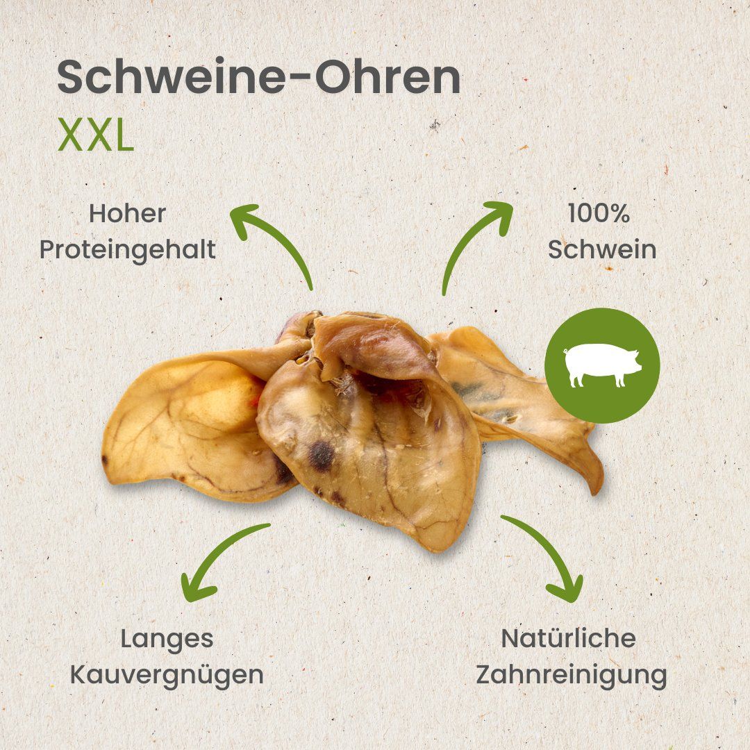 XXL Schweineohren: Hoher Proteingehalt, 100% Schwein. Langes Kauvergnügen, natürliche Zahnreinigung.