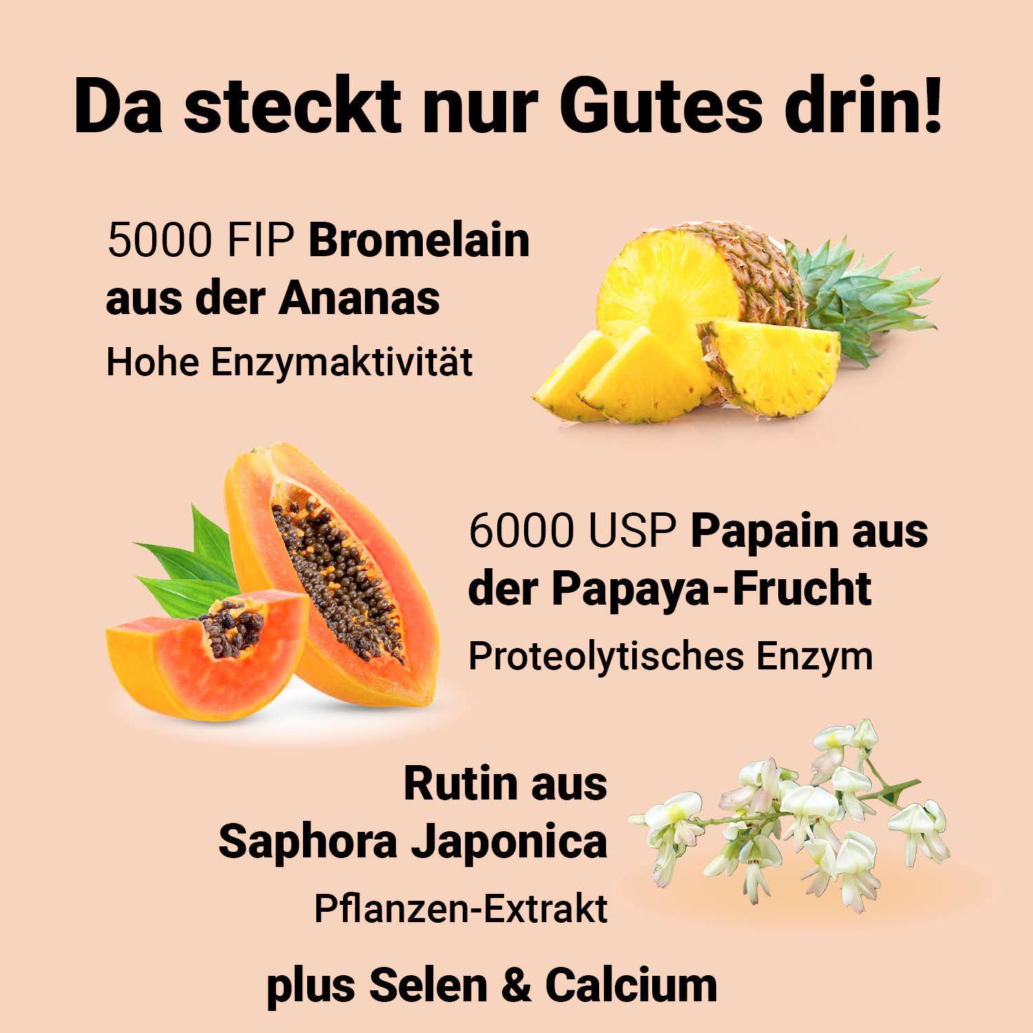 DocVital® Verdauungsenzyme Bromelain hochdosiert für die Verdauung