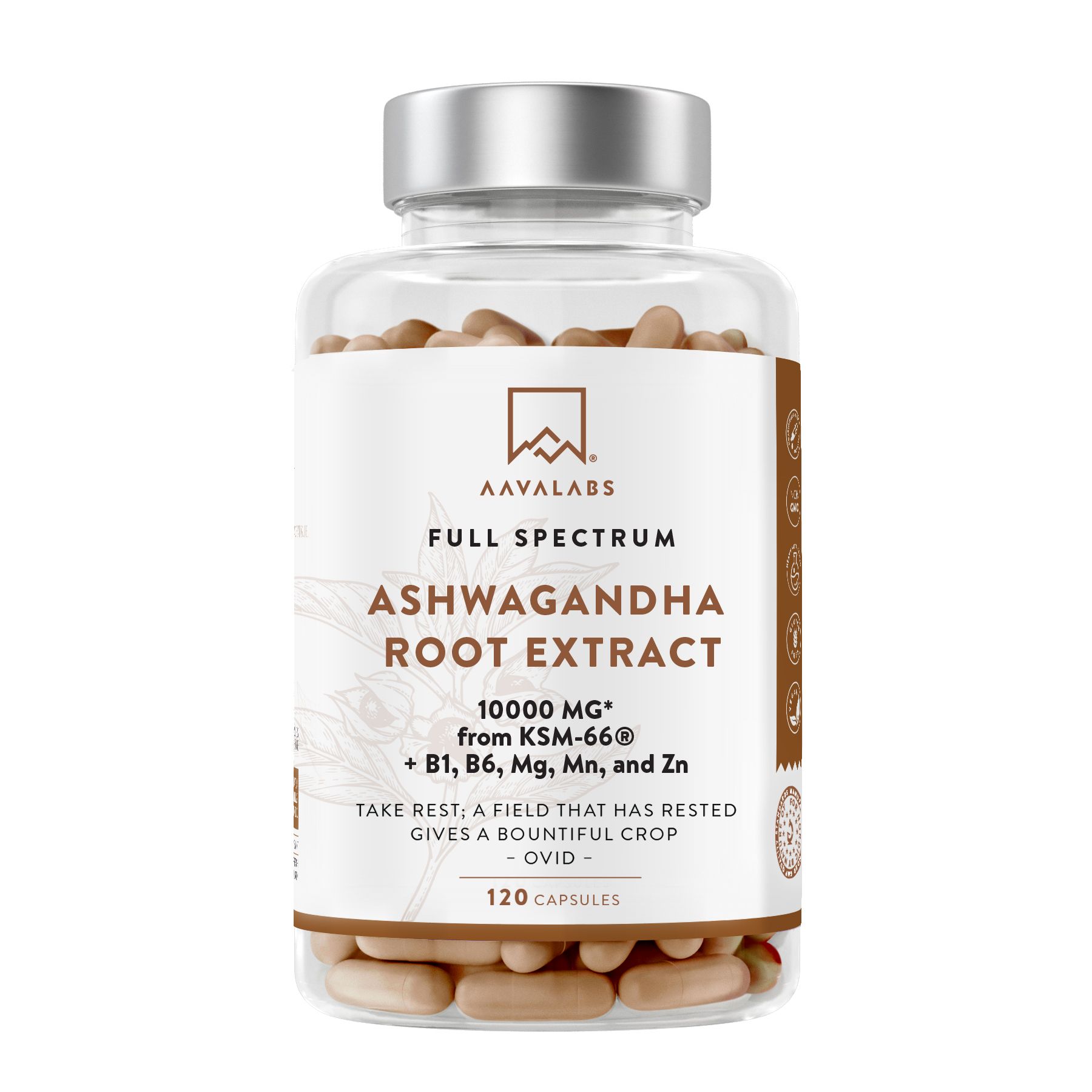 Flacone trasparente con capsule marroni. Scritta: Aavalabs, Ashwagandha Root Extract, 10000 mg. 120 capsule.