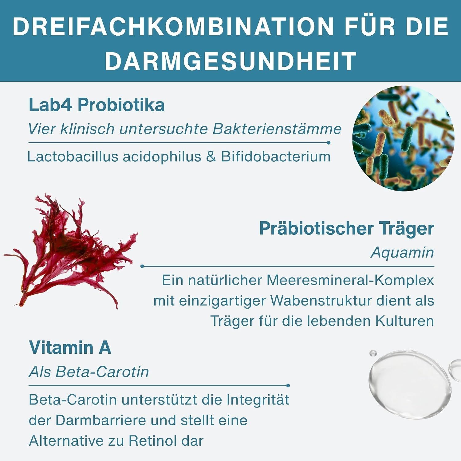 25 Milliarden KBE pro Kapsel: Säureresistent, mikroverkapselt, nicht kühlpflichtig.