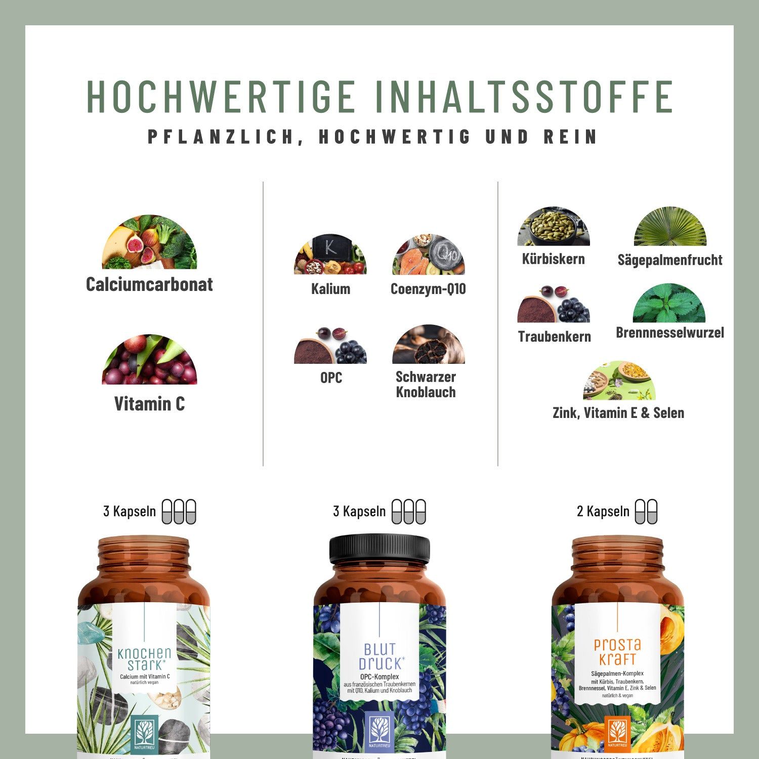 Infografik mit Zutaten. Abgebildet: Calciumcarbonat, Kalium, Coenzym-Q10, Kürbiskern, Traubenkern, Sägepalmenfrucht, Brennnesselwurzel, Zink, Vitamin E, Selen.