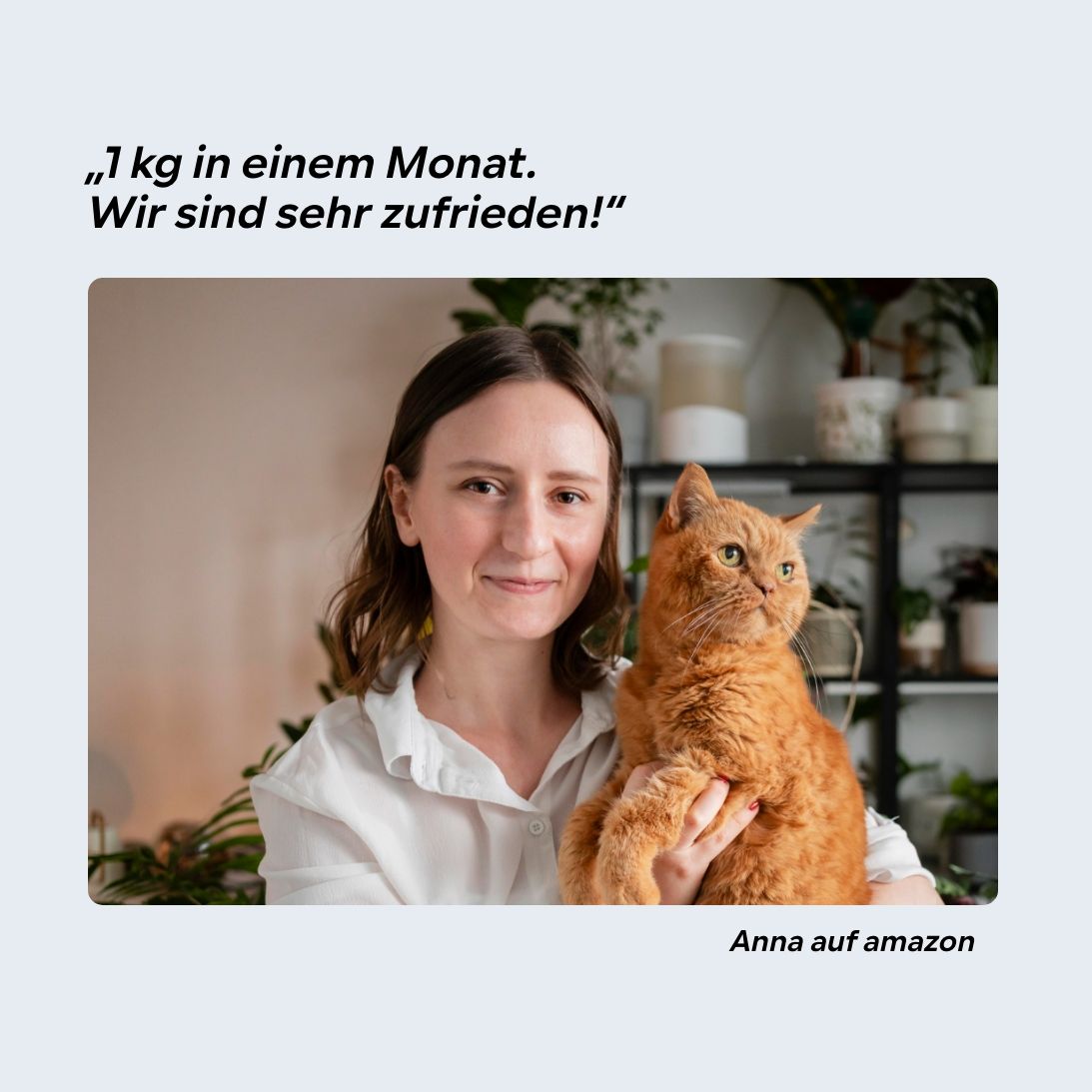 Gewichtsmanagement Übergewicht Katze Slimpet Light-Pulver Sättigungsgefühl