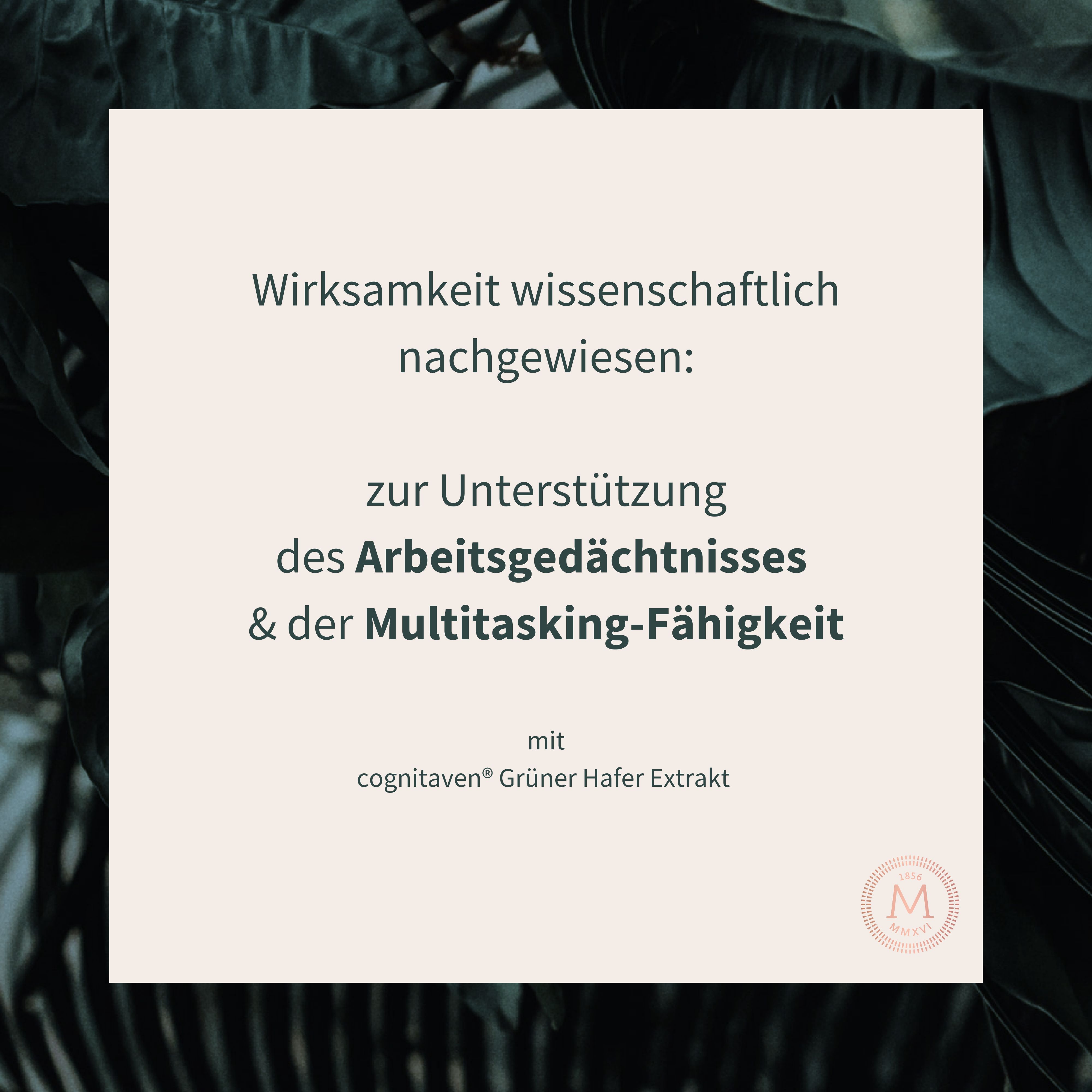 Text auf beigem Hintergrund: Wirksamkeit wissenschaftlich nachgewiesen: zur Unterstützung des Arbeitsgedächtnisses & der Multitasking-Fähigkeit.