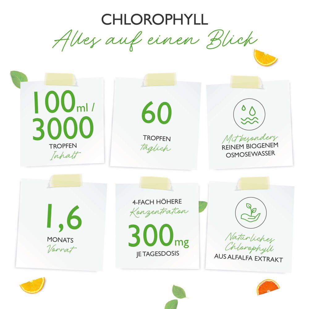 vit4ever Chlorophyll Tropfen