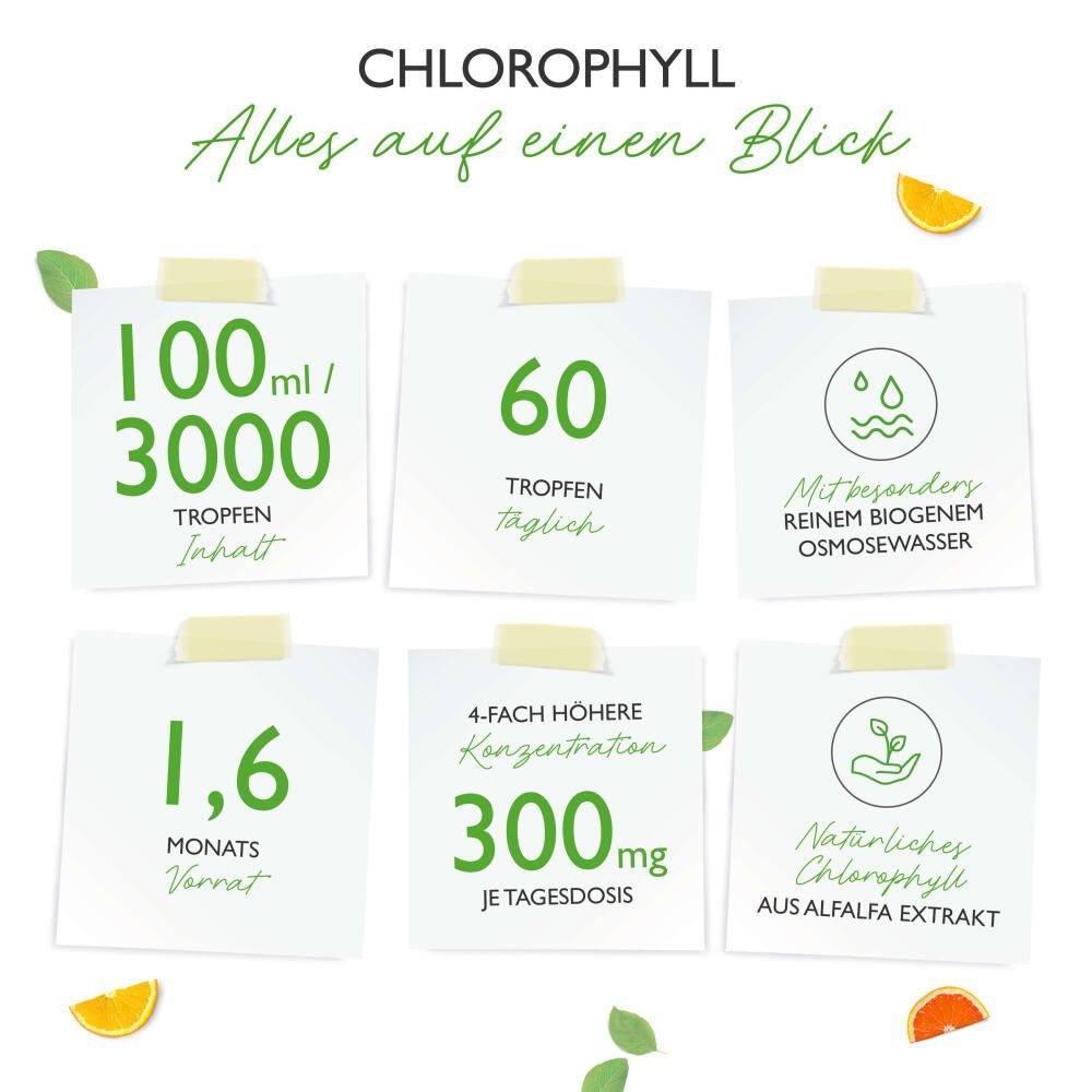 vit4ever Chlorophyll Tropfen 100 ml