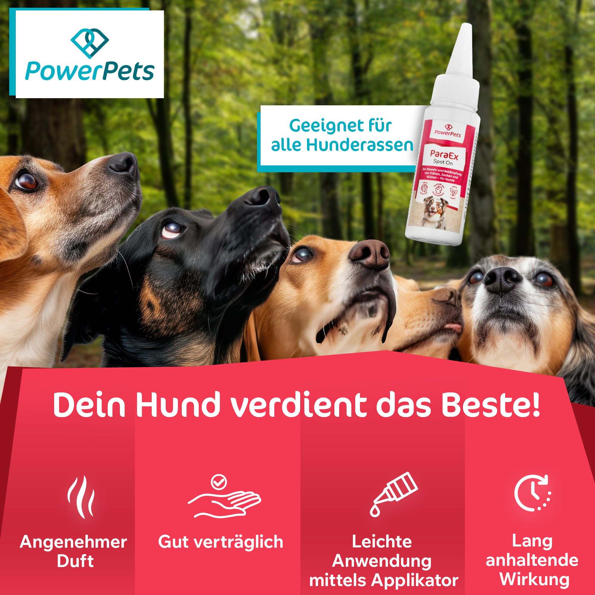 PowerPets - ParaEx - SpotOn für Hunde - 40ml