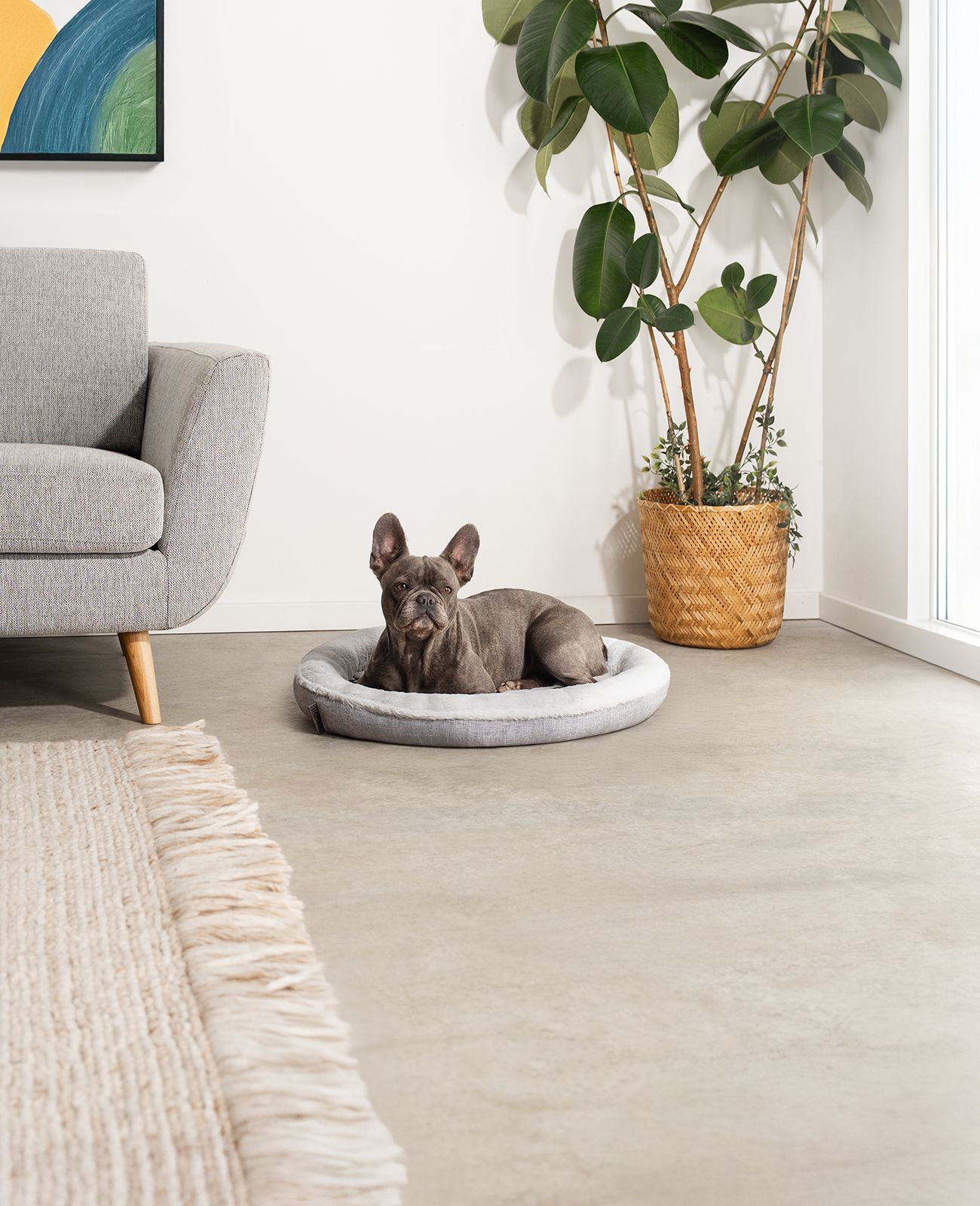 lionto Rundes Hundebett - Donutbed