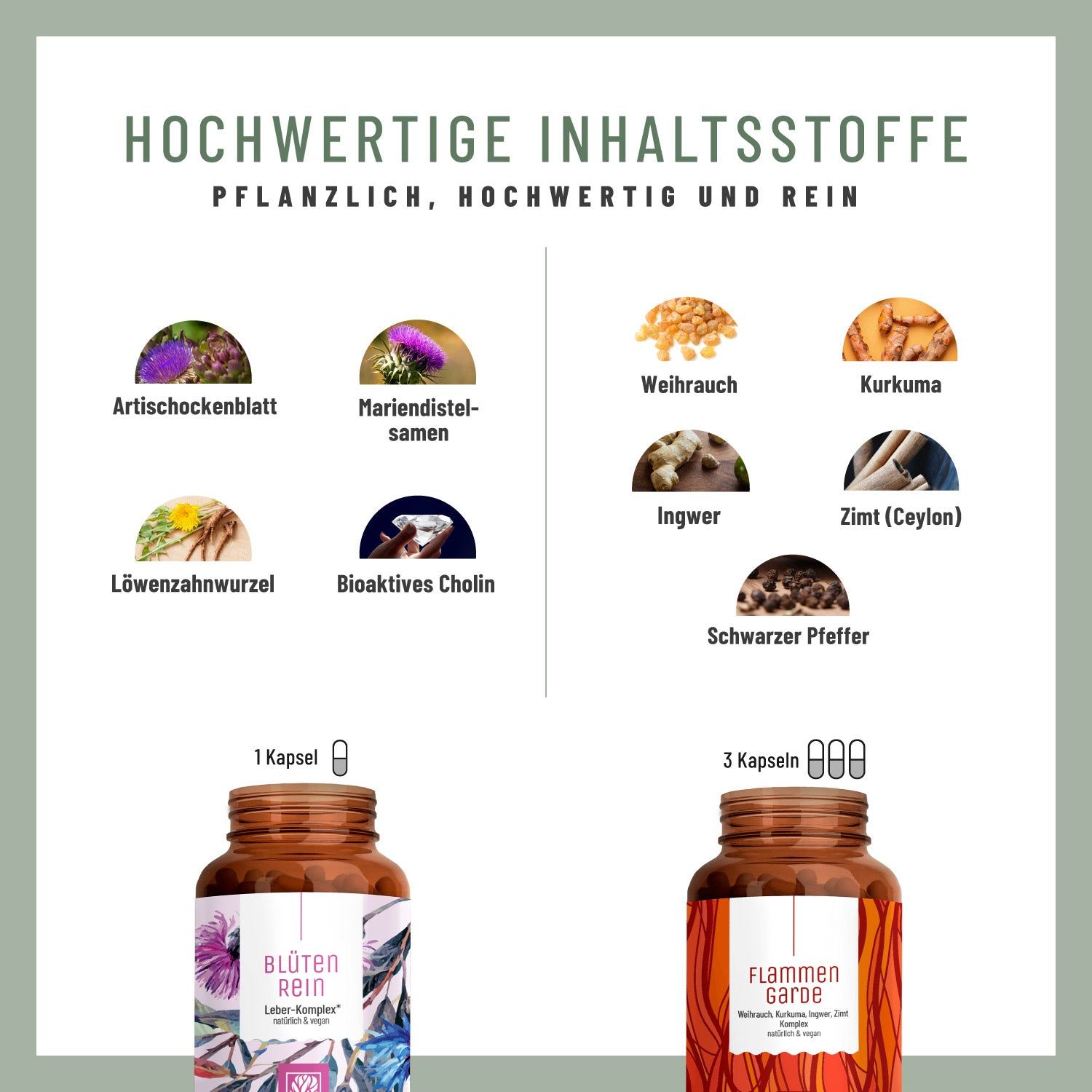Grafik mit Zutaten: Artischockenblatt, Mariendistelsamen, Weihrauch, Kurkuma, Ingwer, Zimt, Löwenzahnwurzel, Bioaktives Cholin, Schwarzer Pfeffer.