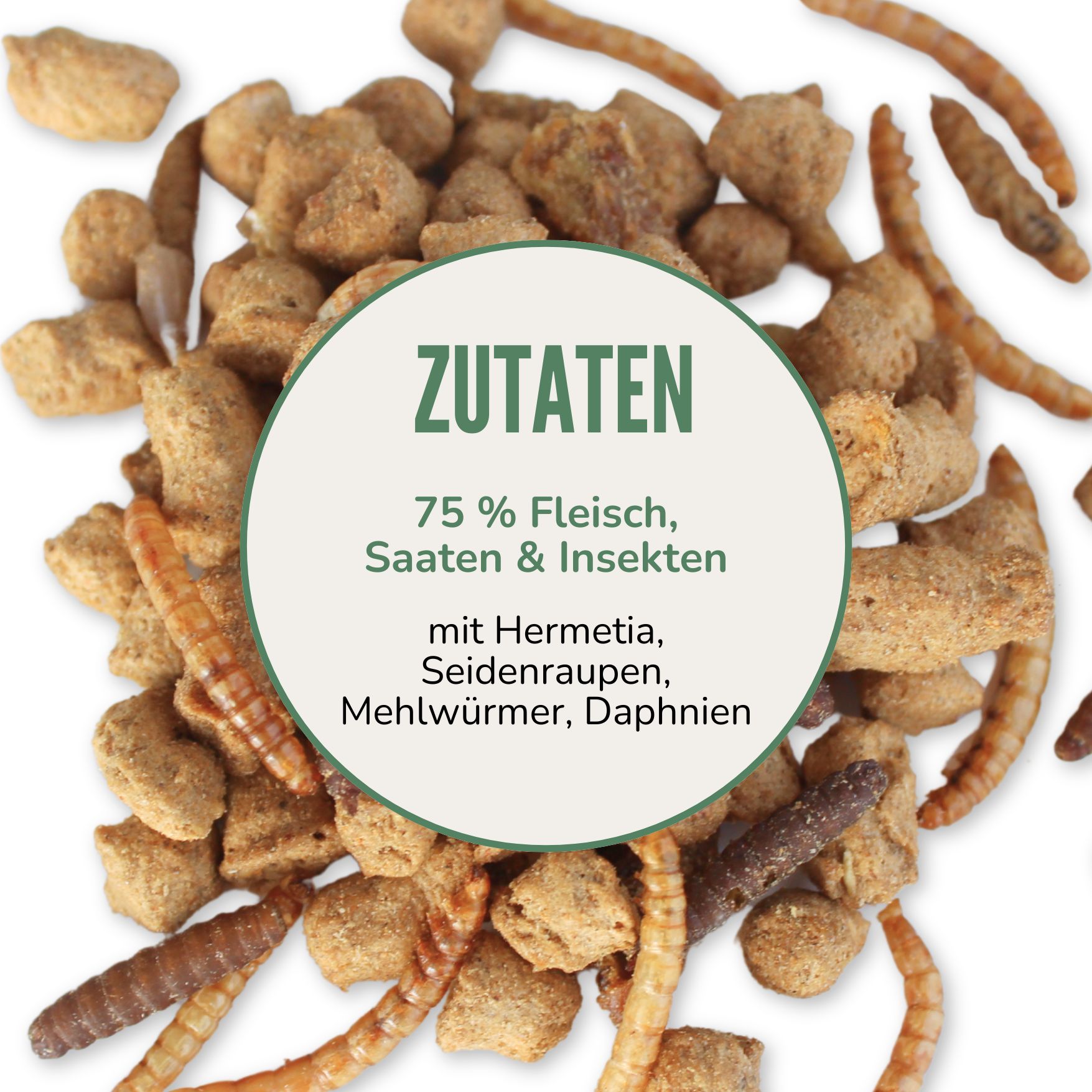 Kreisförmiges Etikett mit Zutaten: 75% Fleisch, Saaten & Insekten. Mit Hermetia, Seidenraupen, Mehlwürmer, Daphnien. Futter.