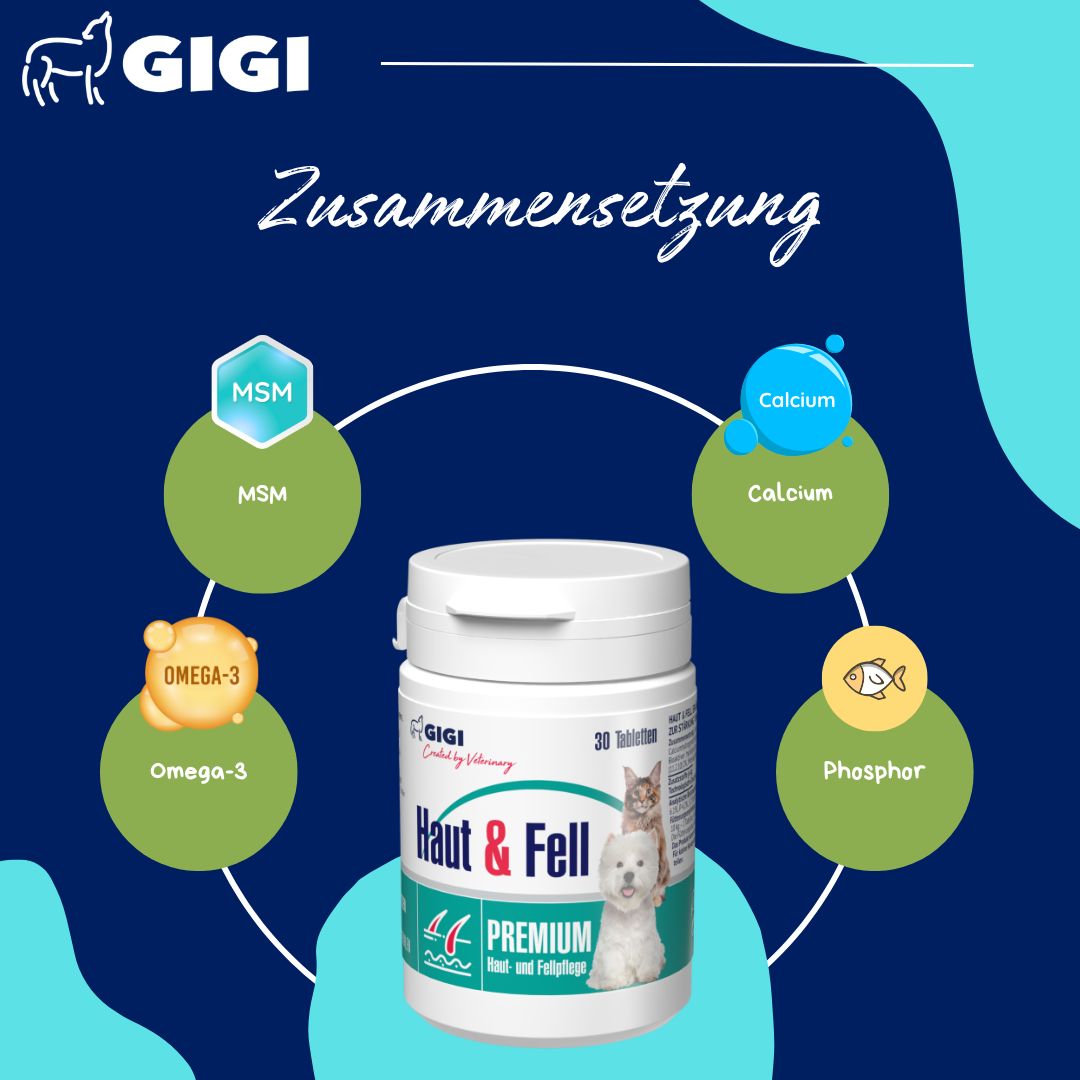 Eine Flasche "GIGI Haut & Fell" mit 30 Tabletten. Inhaltsstoffe: MSM, Calcium, Omega-3, Phosphor. Logo GIGI.