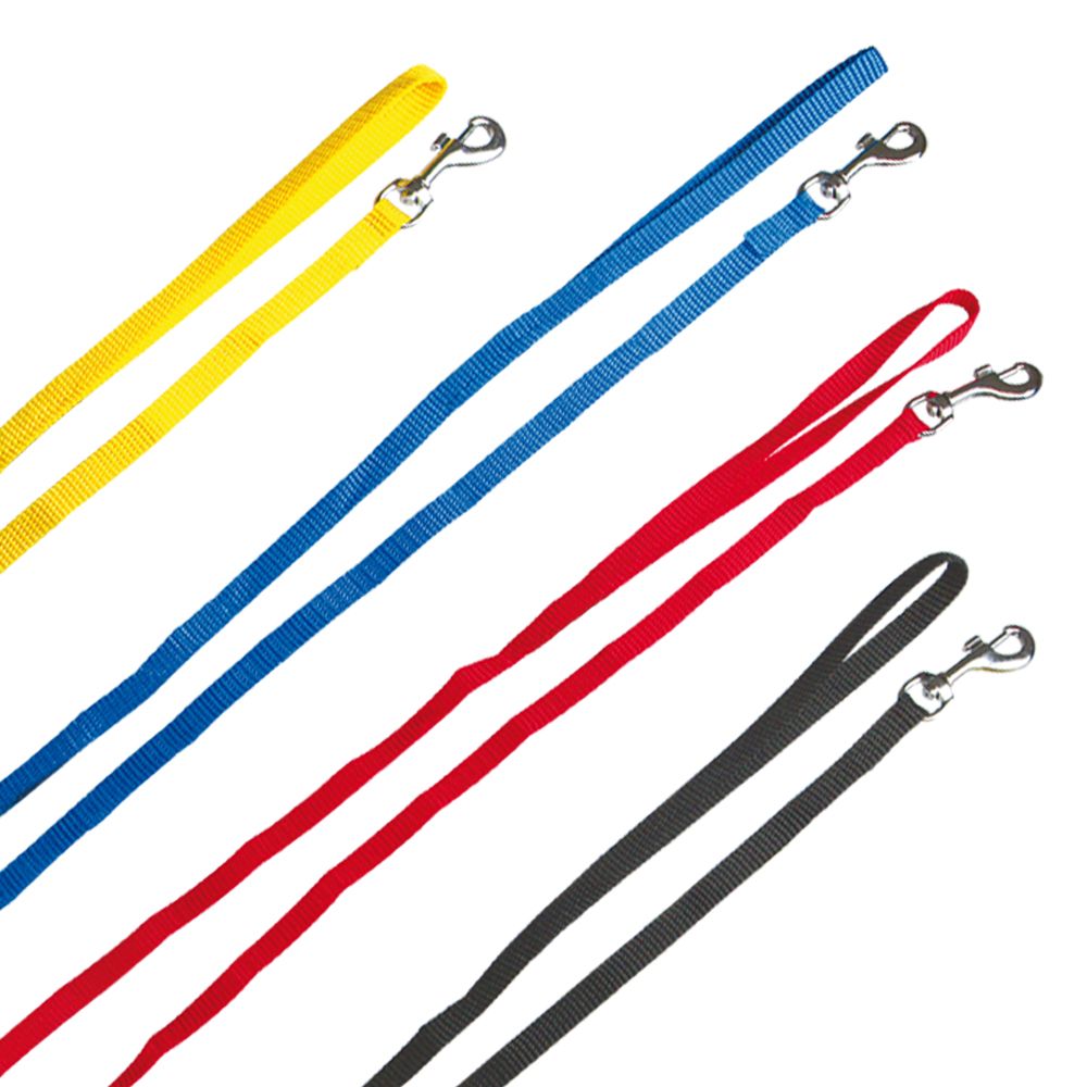 Mehrere Nylon-Leinen in Gelb, Blau, Rot und Schwarz. Mit Karabinerhaken.
