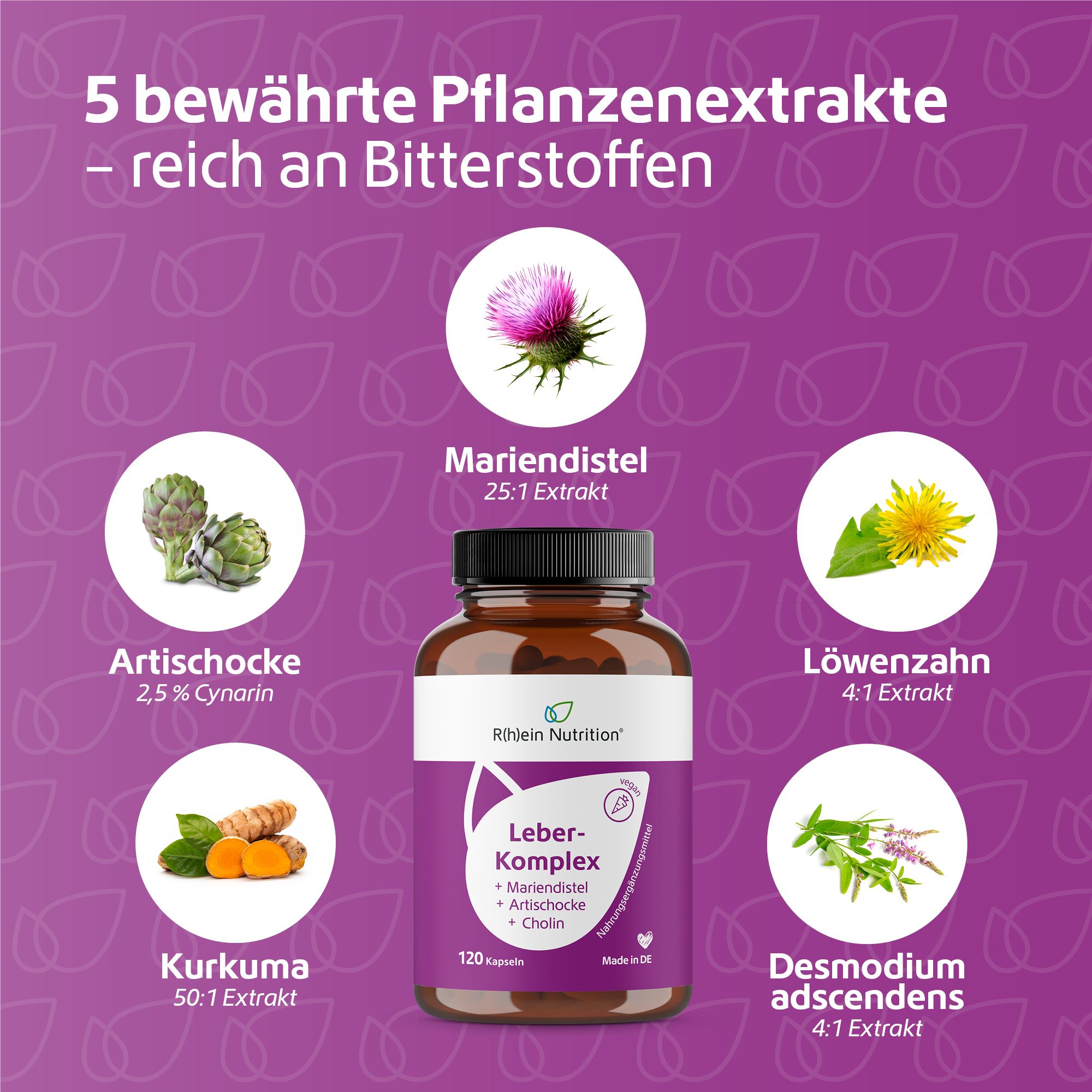 Leber Komplex Mariendistel + Artischocke + Cholin vegan R(h)ein Nutrition