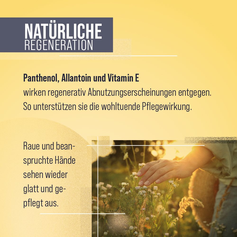 Text: Panthenol, Allantoin und Vitamin E wirken regenerativ. Bild: Hand in Sonnenlicht. Gelber Hintergrund.