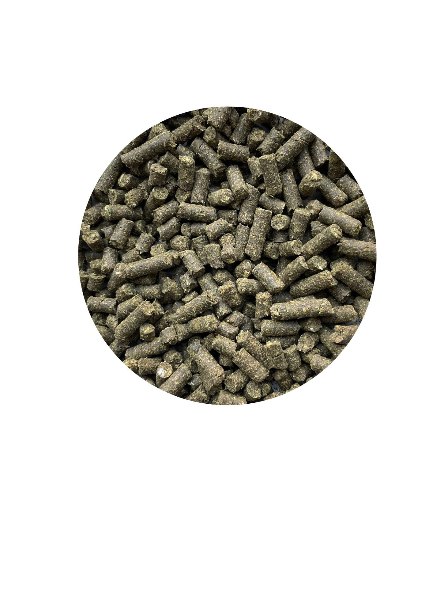 Nahaufnahme von ATCOM BRONCHI-RAPID Pellets. Grüne, zylindrische Pellets in einem Kreis.