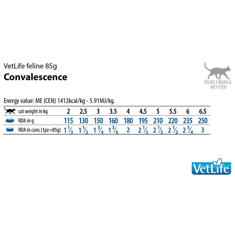 Weiße Tabelle mit Text. "VetLife feline 85g Convalescence". Energie- und Fütterungsempfehlungen für Katzen.