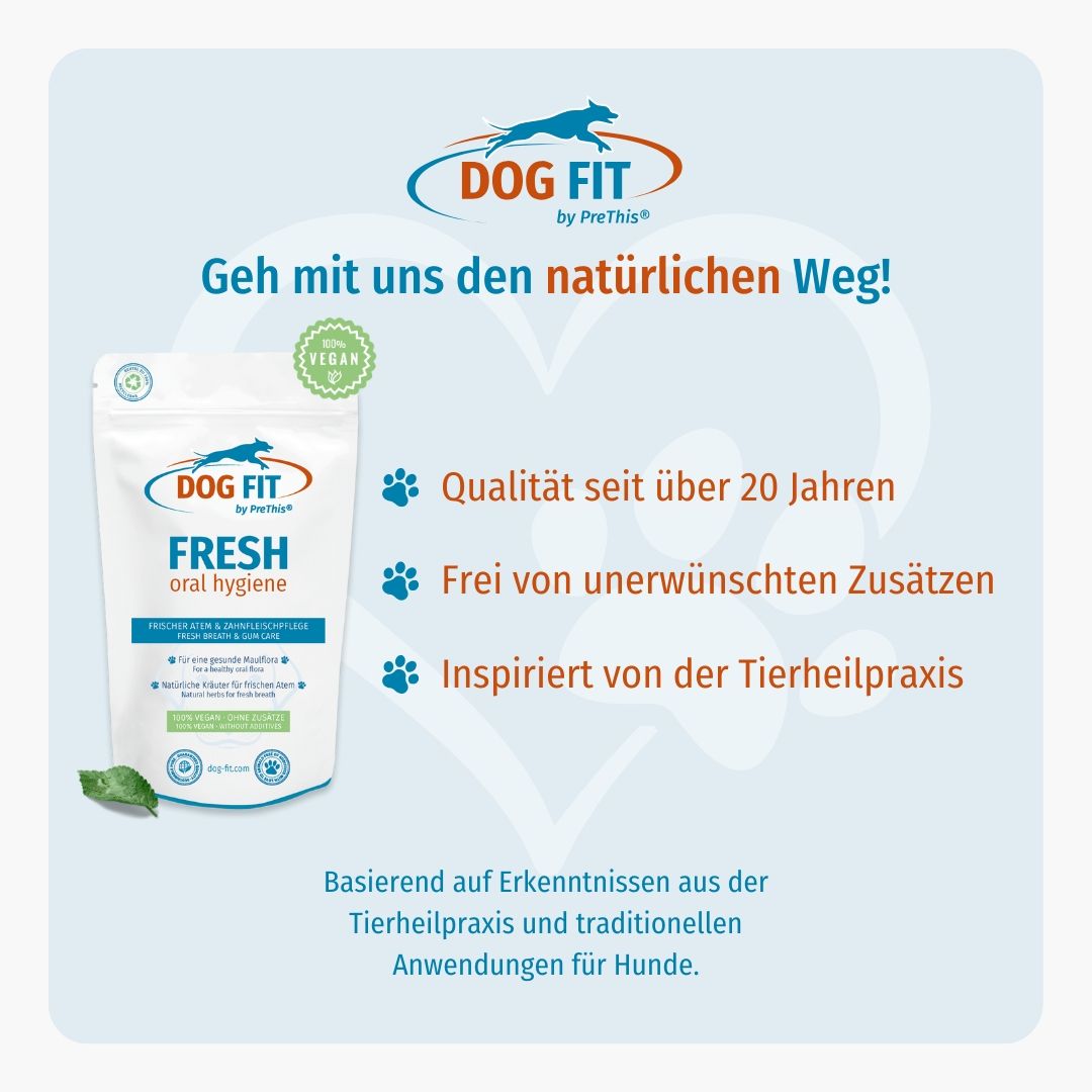 Blauer Hintergrund mit DOG FIT Logo und Produktbeutel. Text: Qualität seit über 20 Jahren, frei von Zusätzen, inspiriert von Tierheilpraxis.