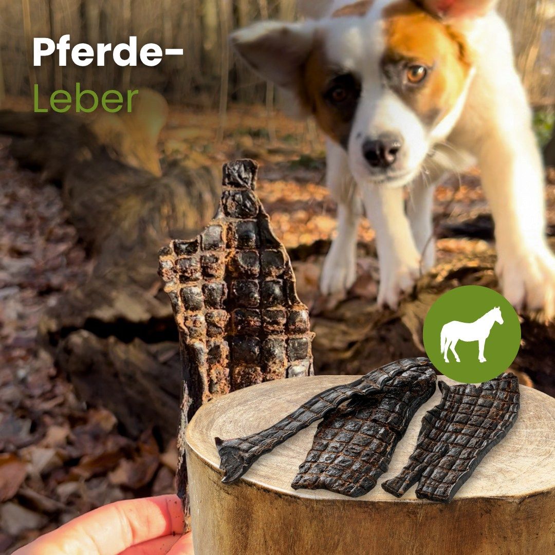 Getrocknete Pferdeleberstücke mit Rautenmuster, hypoallergen.
