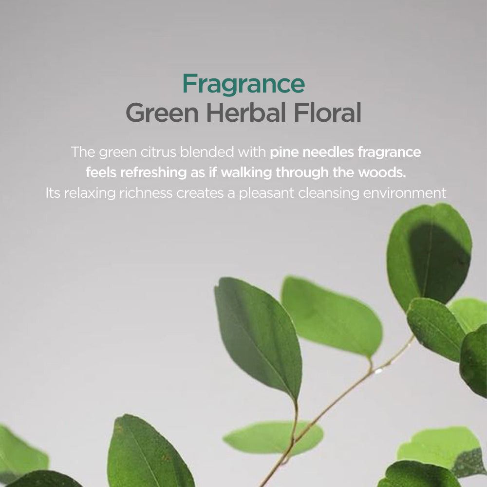 AYUNCHE Rebalancing Moist Shampoo – feuchtigkeitsspendendes Shampoo für Kopfhaut-Balance