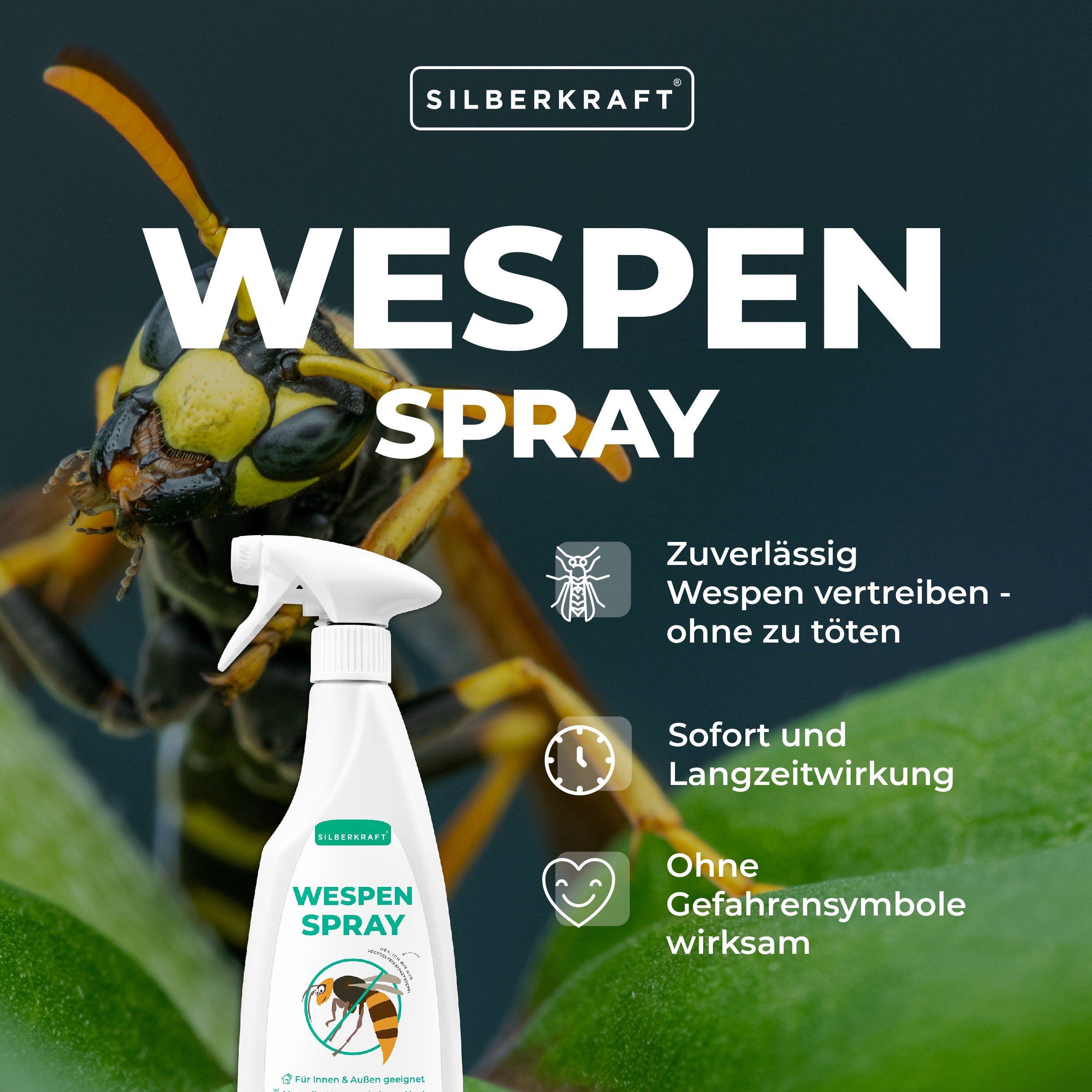 Silberkraft Wespenspray 12x500 ml Spray