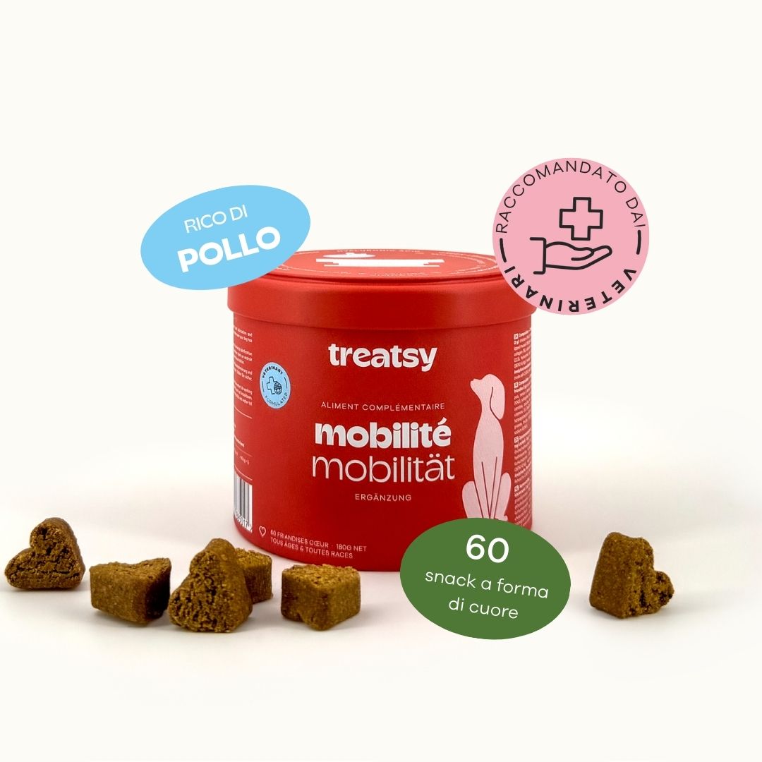 Rote Dose mit "Treatsy" und "mobilité mobilité"-Aufschrift. Herzförmige Leckerlis daneben.
