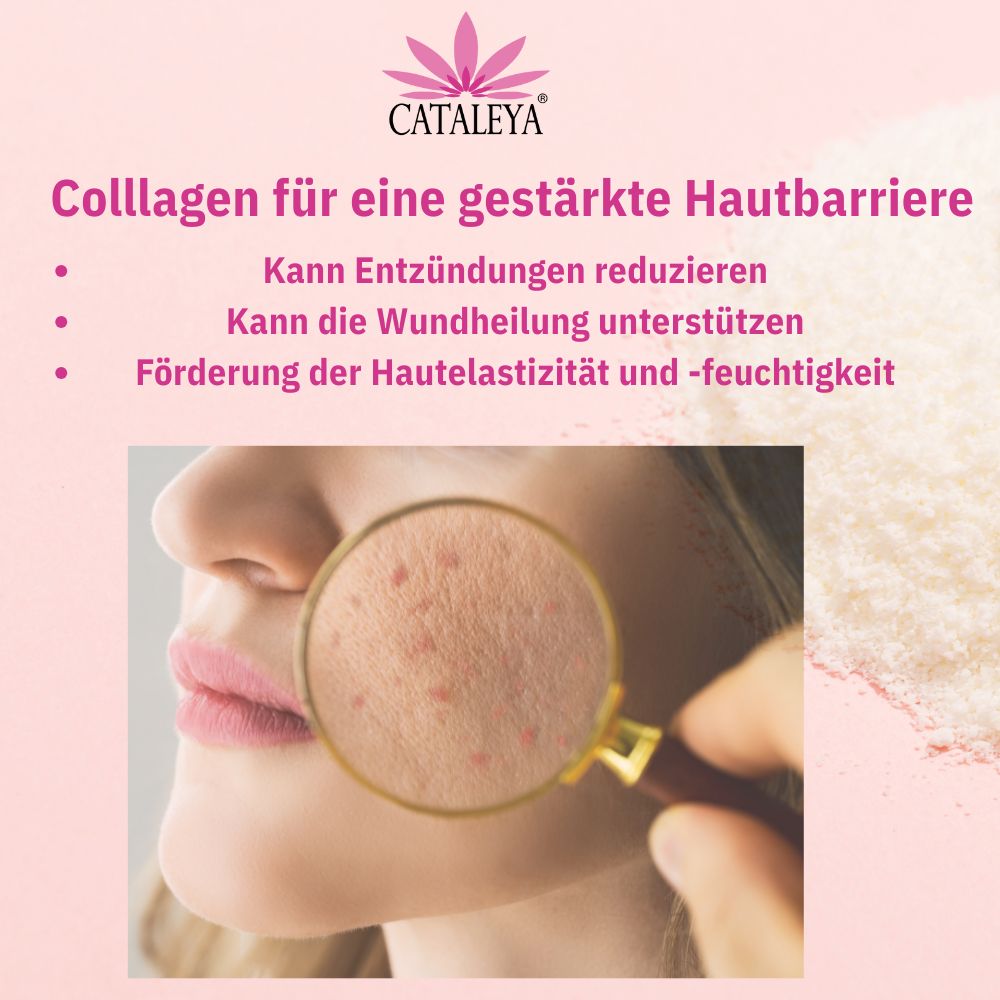Werbebild für CATALEYA Collagen. Zeigt eine Frau, deren Haut mit einer Lupe betrachtet wird. Text hebt die Vorteile von Collagen für eine gestärkte Hautbarriere hervor, einschließlich Reduzierung von Entzündungen und Förderung der Hautelastizität.