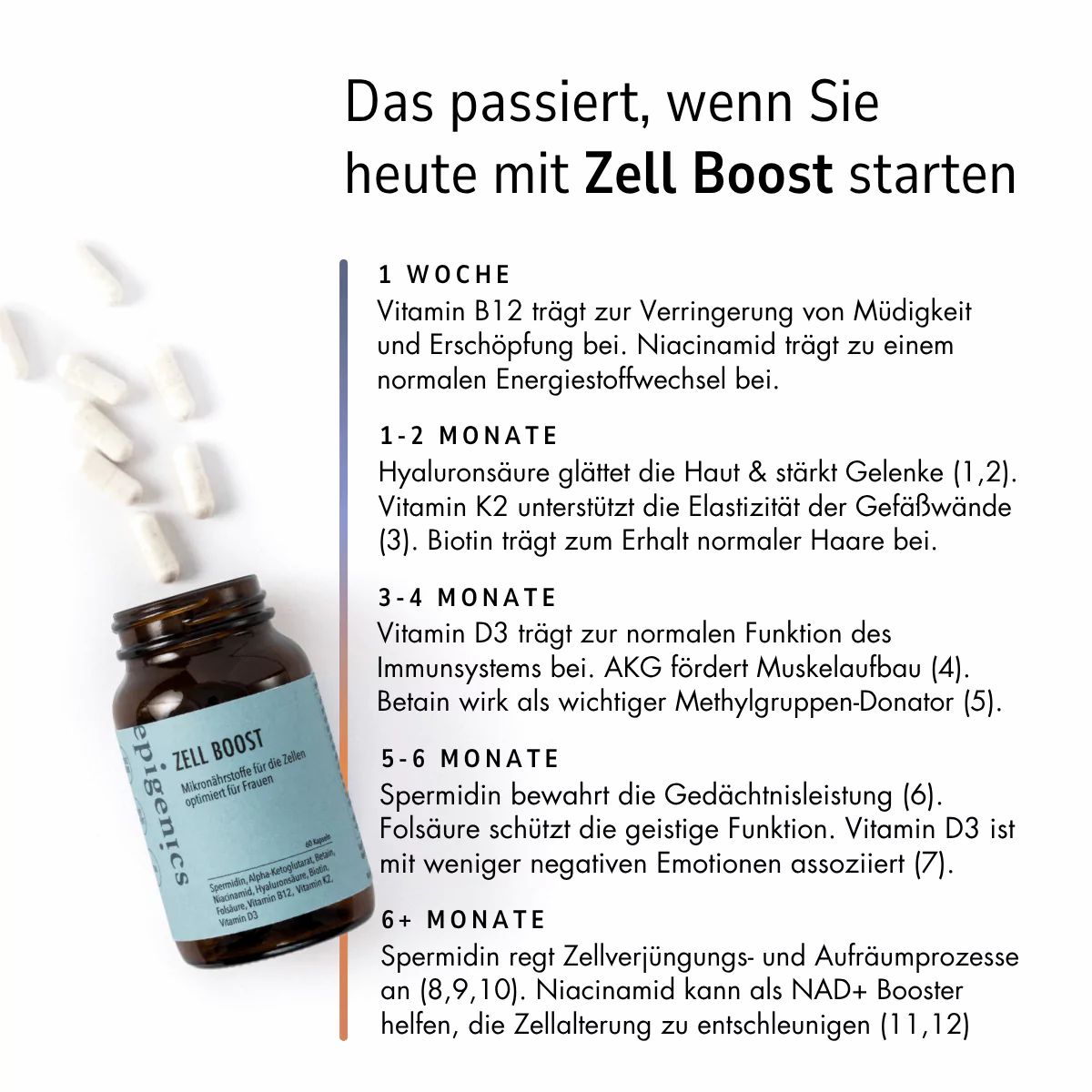 Text-Infografik: Vorteile von Zell Boost. Auflistung von Wirkungen nach Einnahmedauer. Flasche mit Kapseln daneben.
