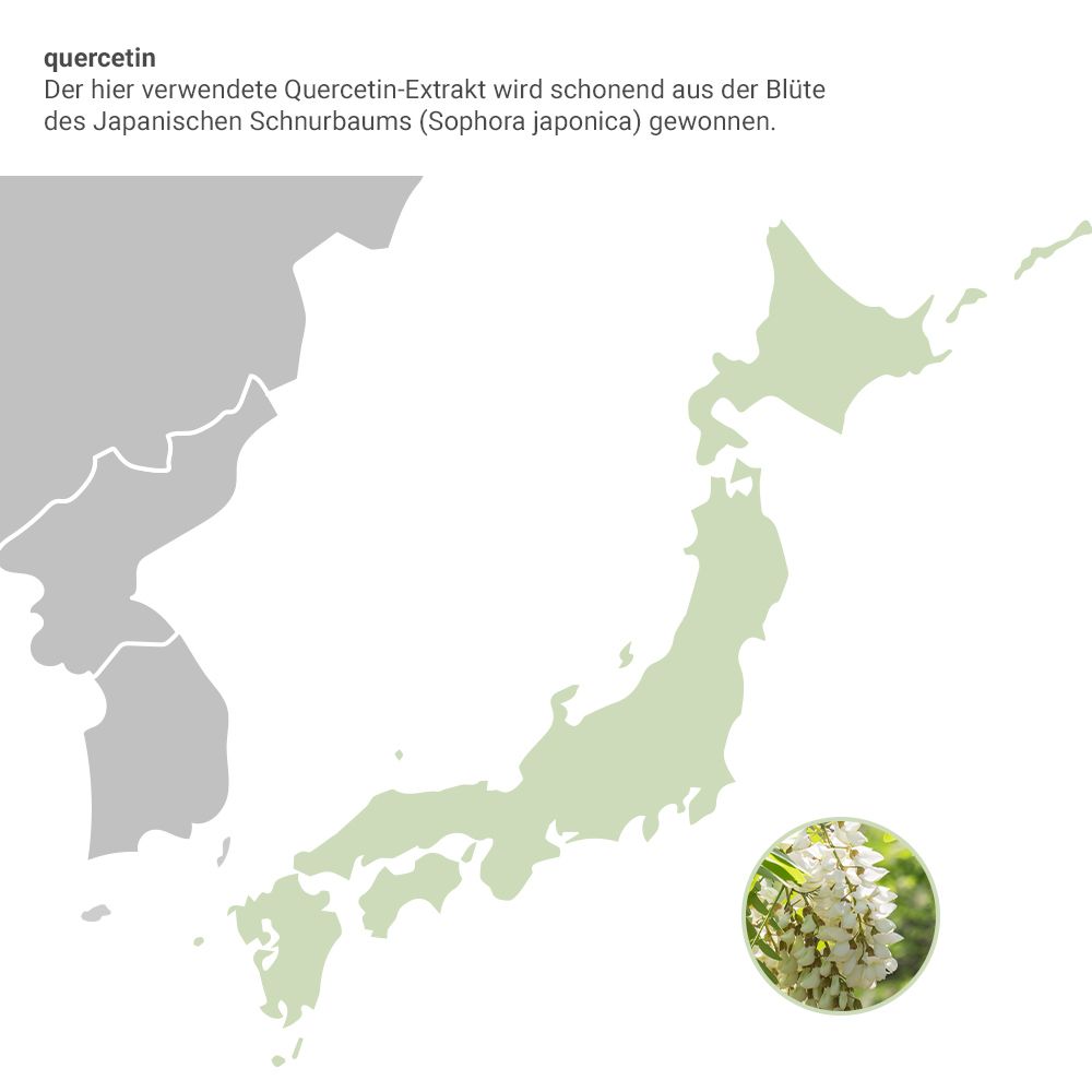Karte mit Umrissen von Japan und einer Blüte. Text: Quercetin. Der hier verwendete Quercetin-Extrakt wird schonend aus der Blüte des Japanischen Schnurbaums gewonnen.