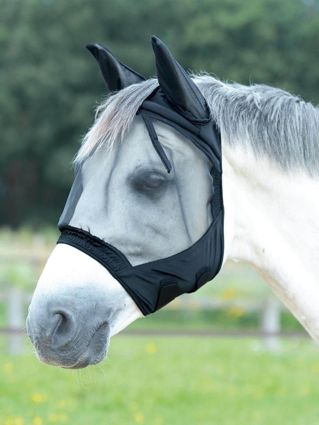 Schwarze Fliegenmaske auf einem Pferd. Netzstoff bedeckt Augen und Ohren. Elastischer Rand am Maul.