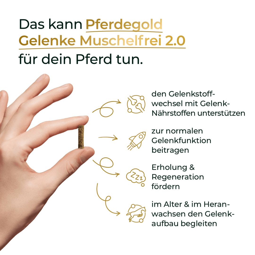 Pferdegold Gelenke muschelfrei