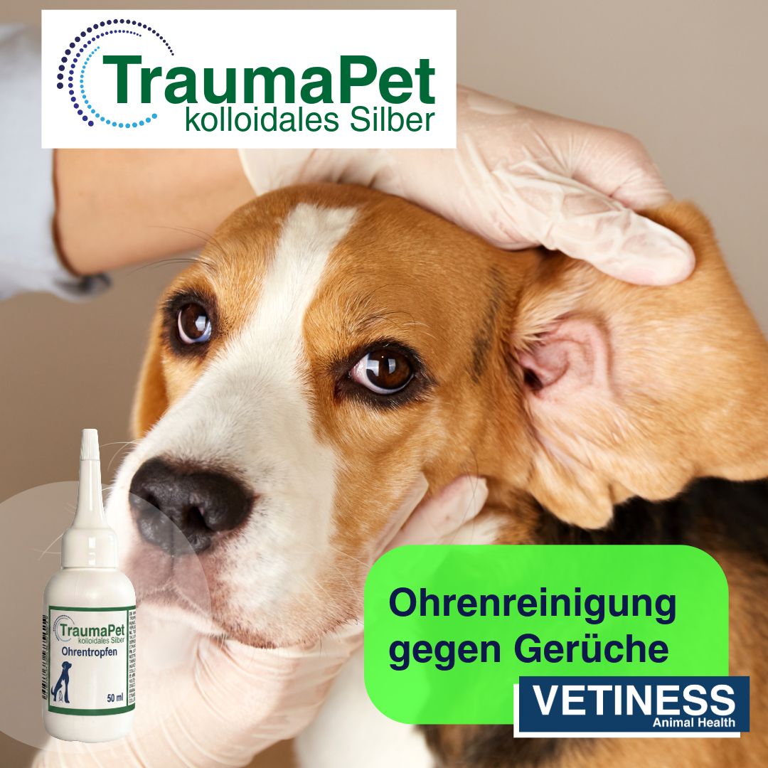 Traumapet Ohrentropfen für Hunde und Katzen