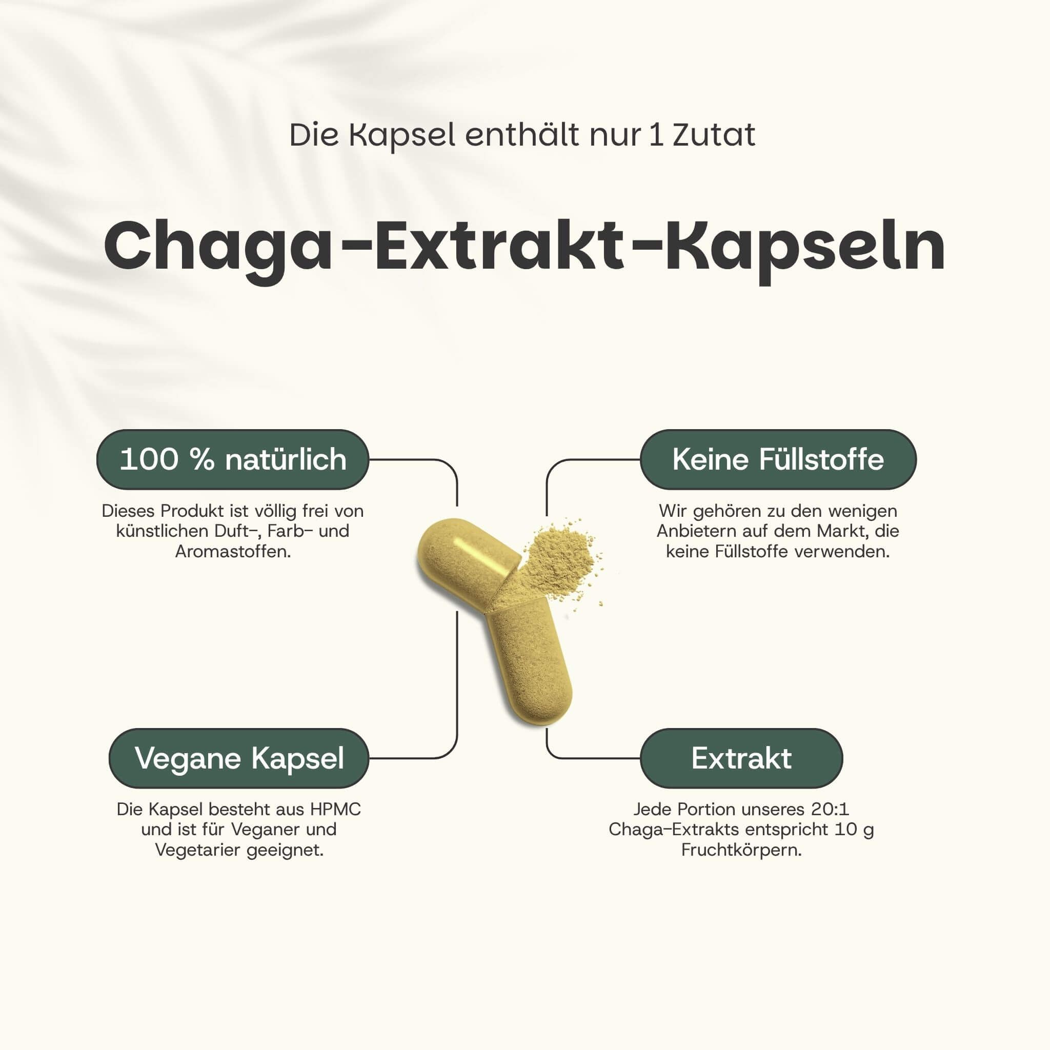 Kapsel mit Pulver. Text: Chaga-Extrakt-Kapseln. 100% natürlich, keine Füllstoffe, vegane Kapsel.