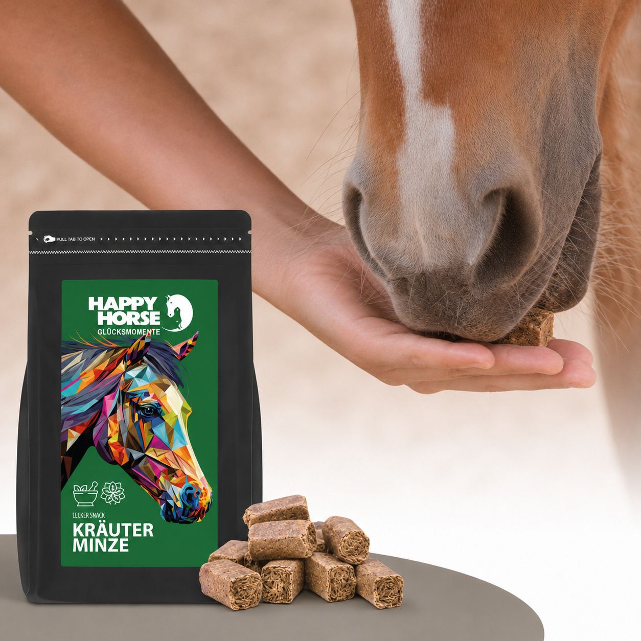 Hand füttert Happy Horse Lecker Snack Kräuter Minze an ein Pferd.