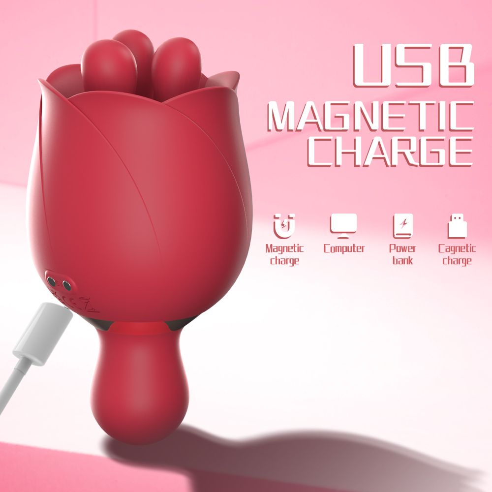 Roter Mini-Vibrator mit USB-Ladeanschluss. Text: USB MAGNETIC CHARGE.